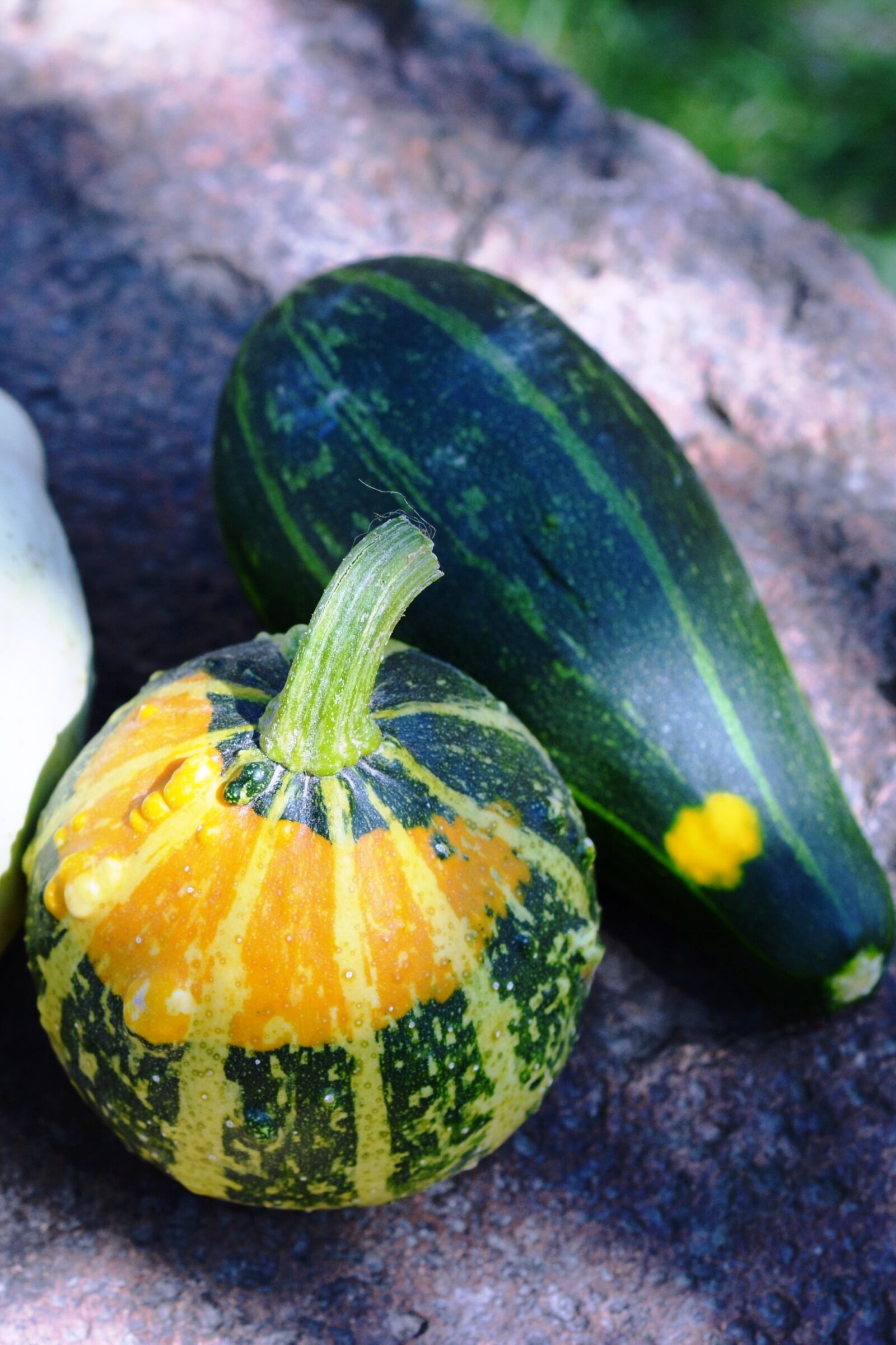 Nikon D5200 sample photo. Pumpkin, pumpkins, ornamental pumpkins photography
