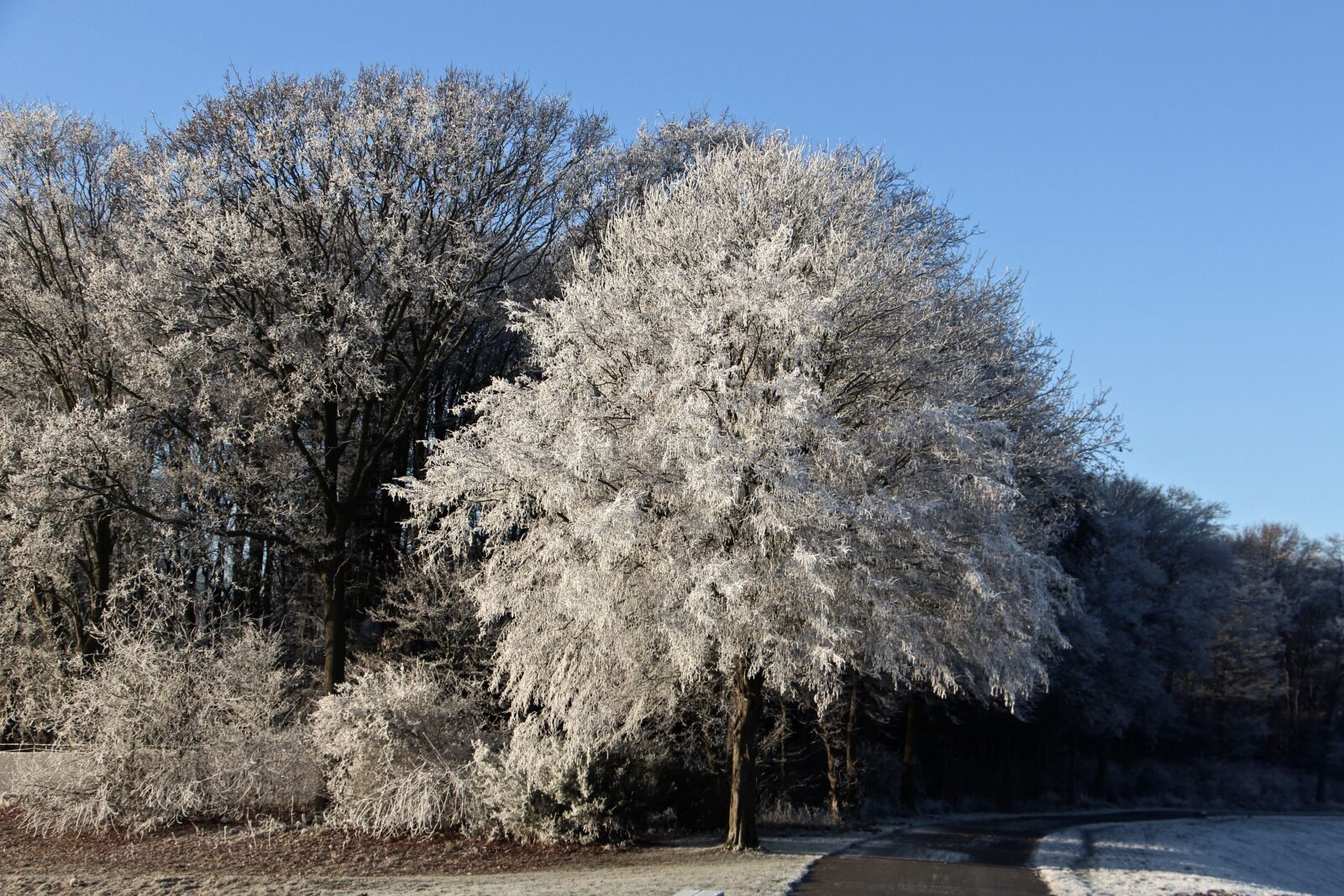 Canon EOS 700D (EOS Rebel T5i / EOS Kiss X7i) sample photo. Winter, landscape, away photography