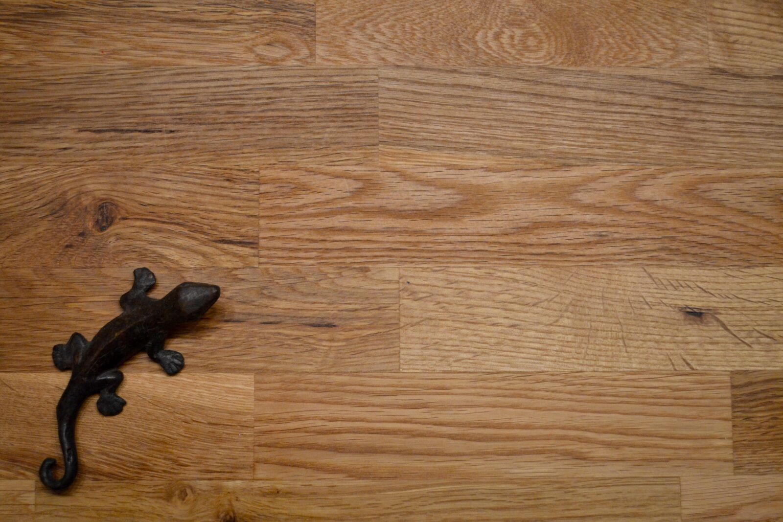 Nikon D3100 sample photo. Lizard, theme, minimalism, wood photography