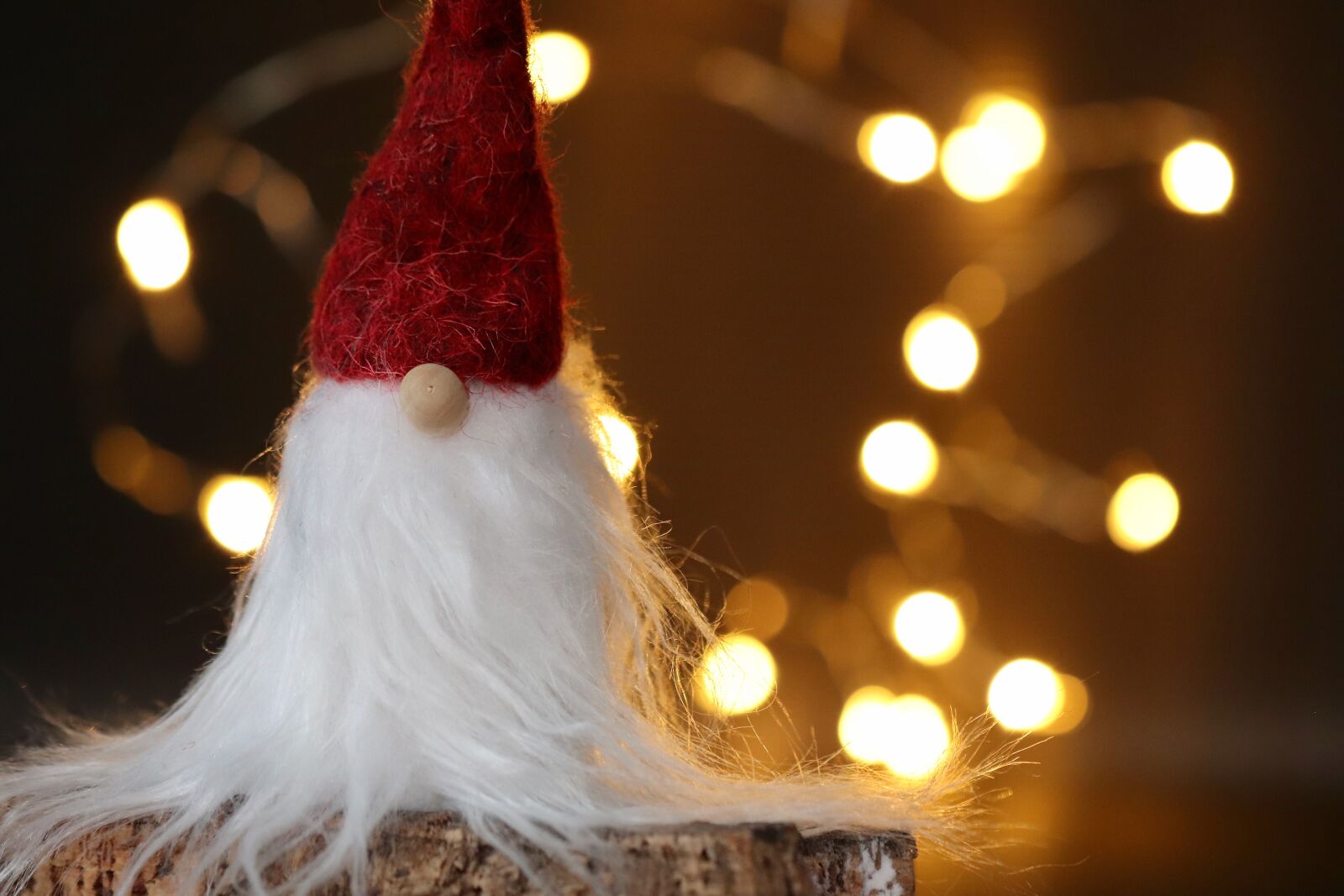 Canon EOS 800D (EOS Rebel T7i / EOS Kiss X9i) sample photo. Santa claus, advent, christmas photography
