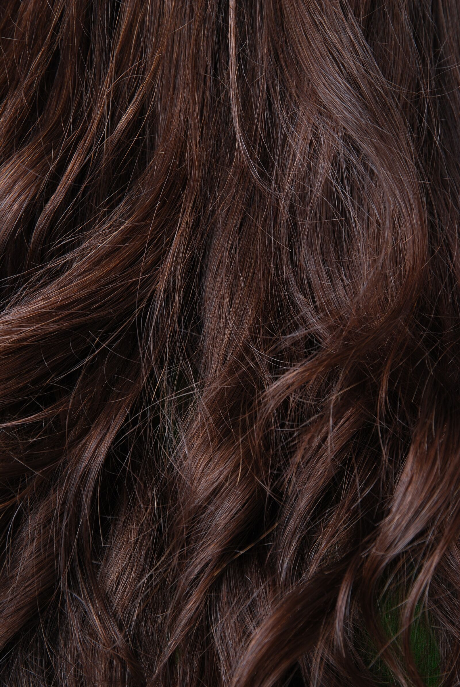 Nikon D80 sample photo. Brown, hair, dark photography