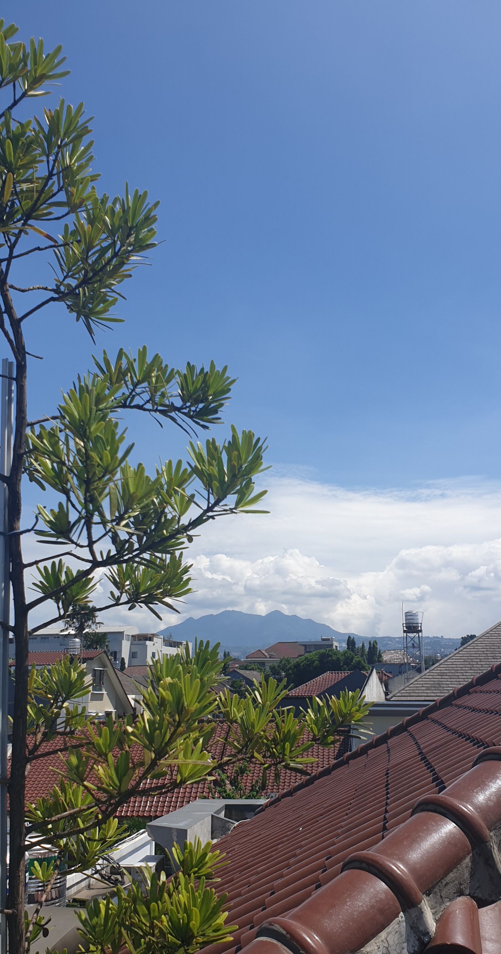 Samsung Galaxy Note9 sample photo. Stay safe, at home photography