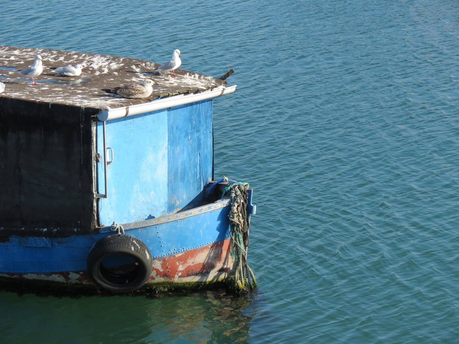 Canon PowerShot SX40 HS sample photo. Boat, seagulls, sea photography
