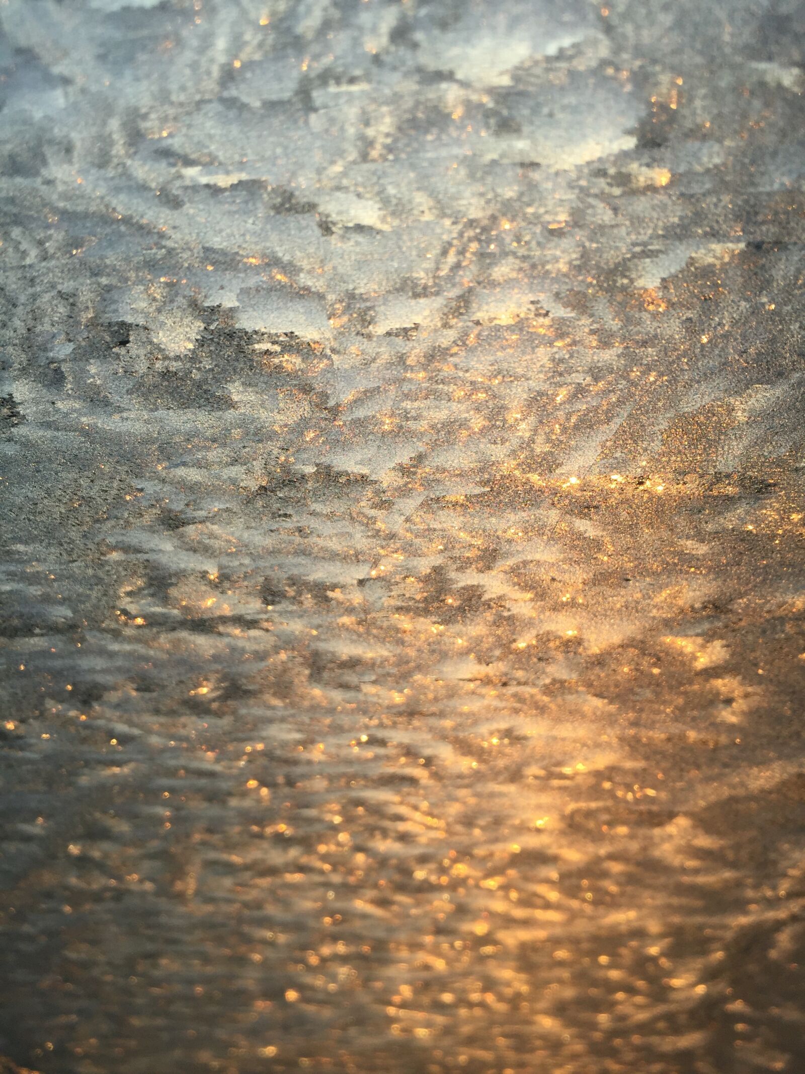 Apple iPhone 6 sample photo. Glass, ice, wallpaper photography