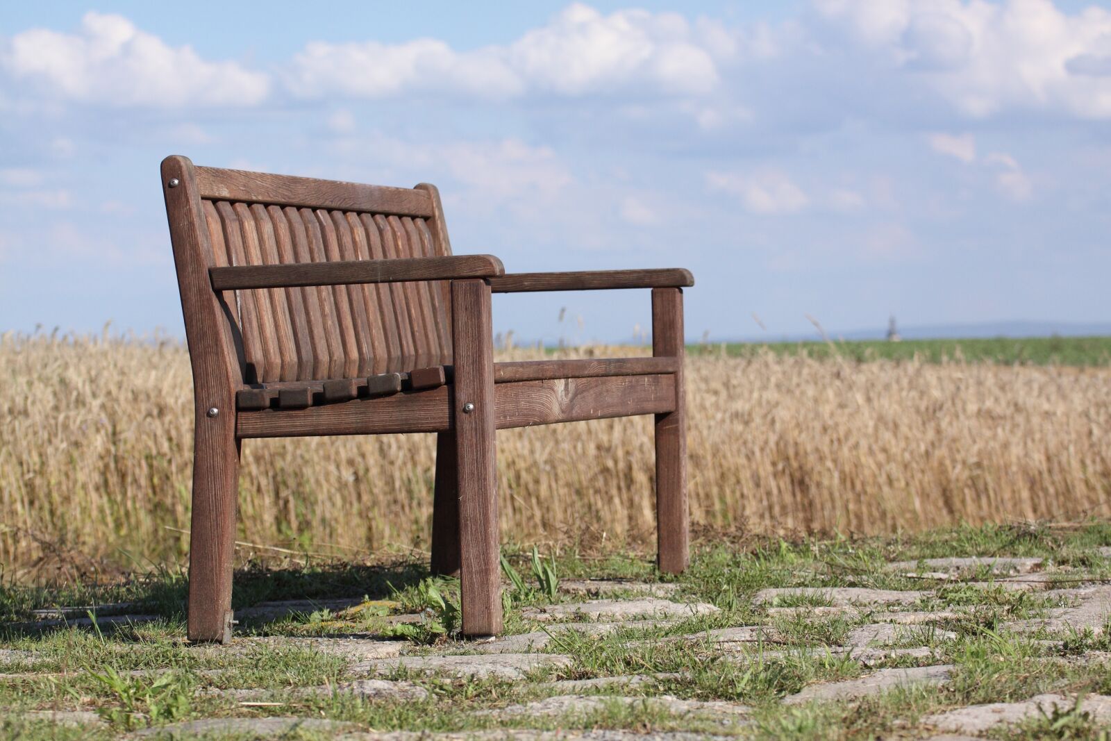 Canon EOS 50D sample photo. Bank, nature, out photography