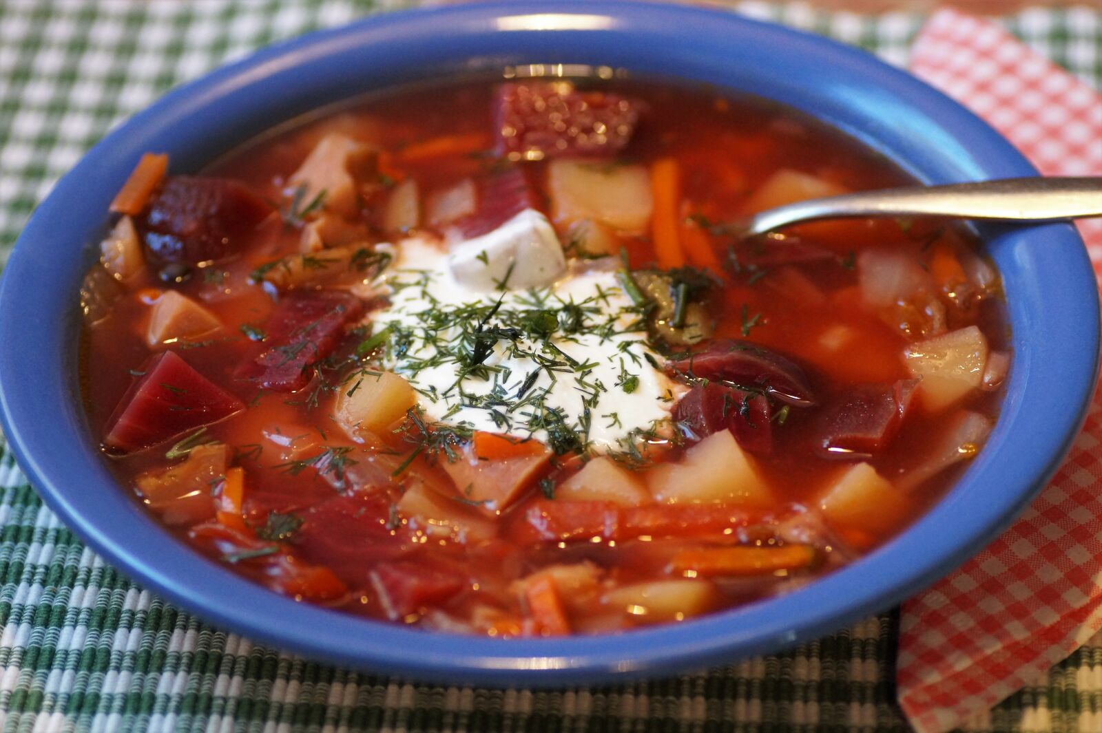 Sony SLT-A58 sample photo. Russian, borscht, soup photography