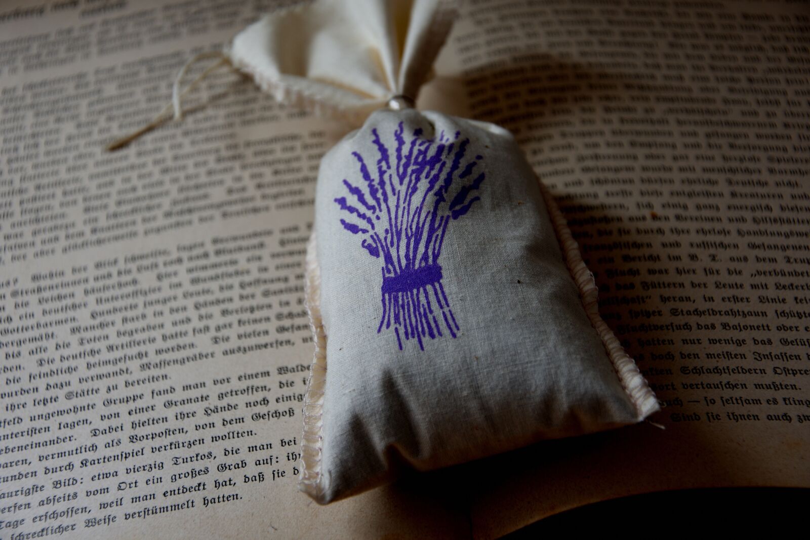 Nikon D3400 sample photo. Fragrant, bag, lavender photography