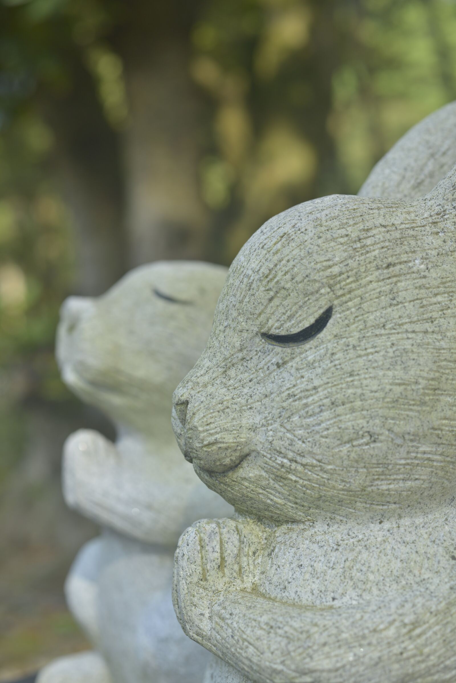 Nikon D800 sample photo. Japan, shrine, local photography