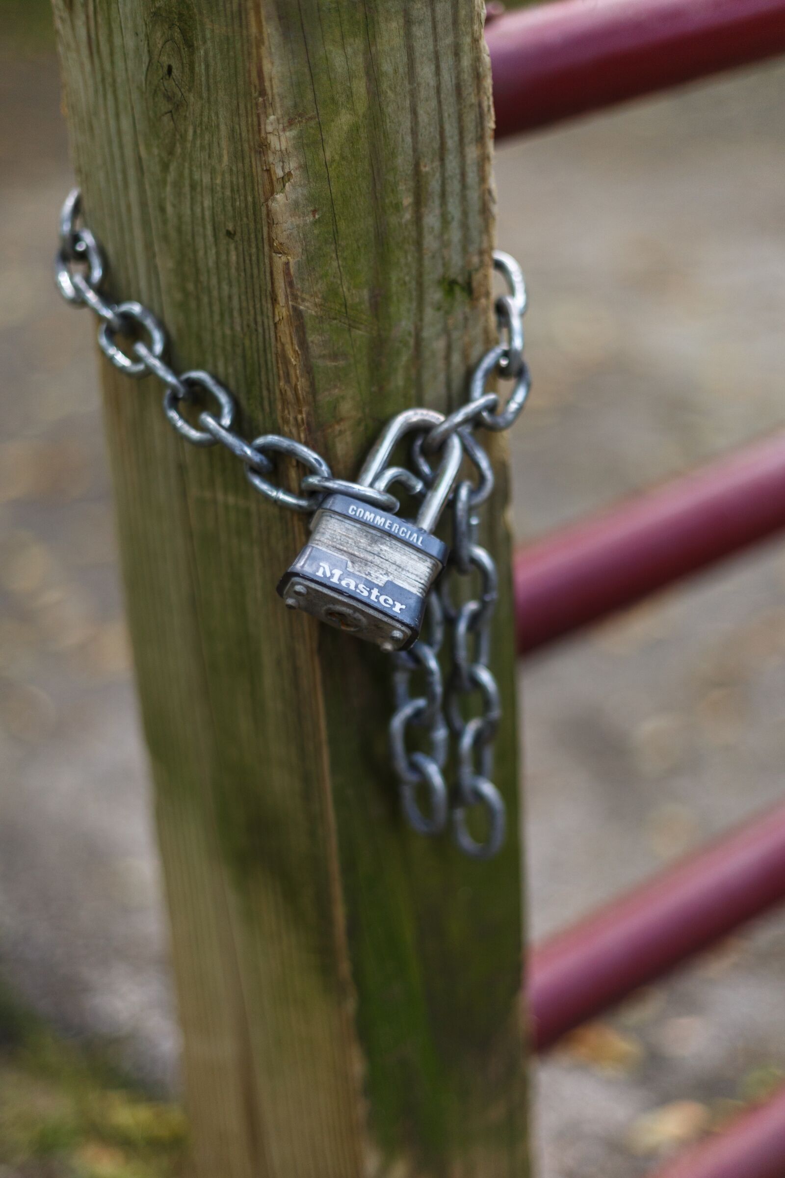 Canon EF 50mm F1.8 II sample photo. Lock, chain, padlock photography