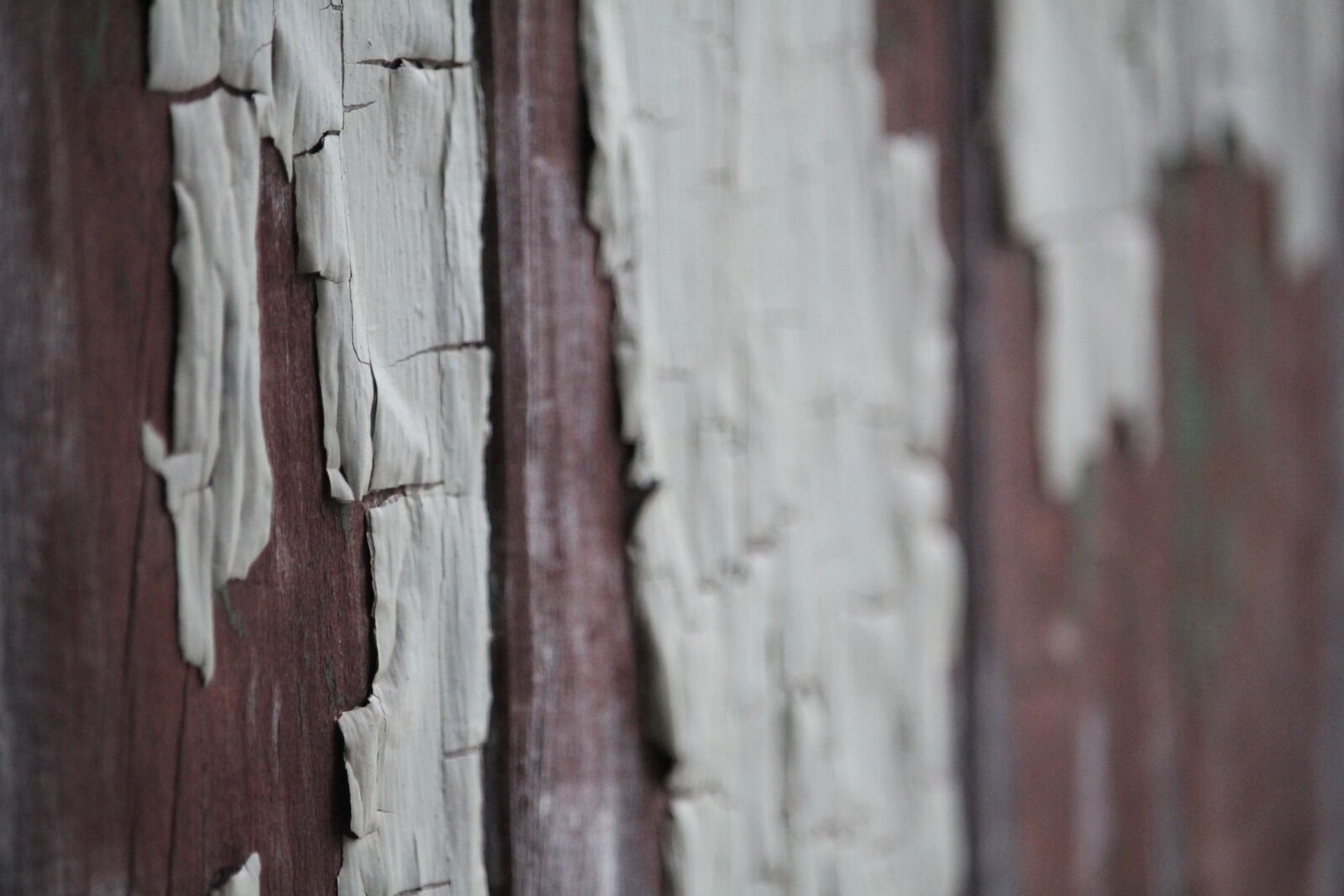 Canon EOS 700D (EOS Rebel T5i / EOS Kiss X7i) sample photo. Paint, wood, aged photography