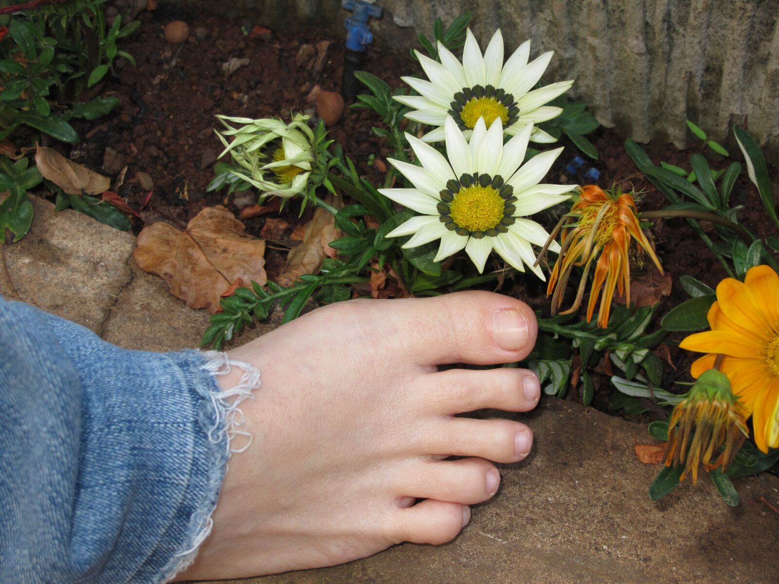 Canon PowerShot G11 sample photo. Foot, flower, nature photography