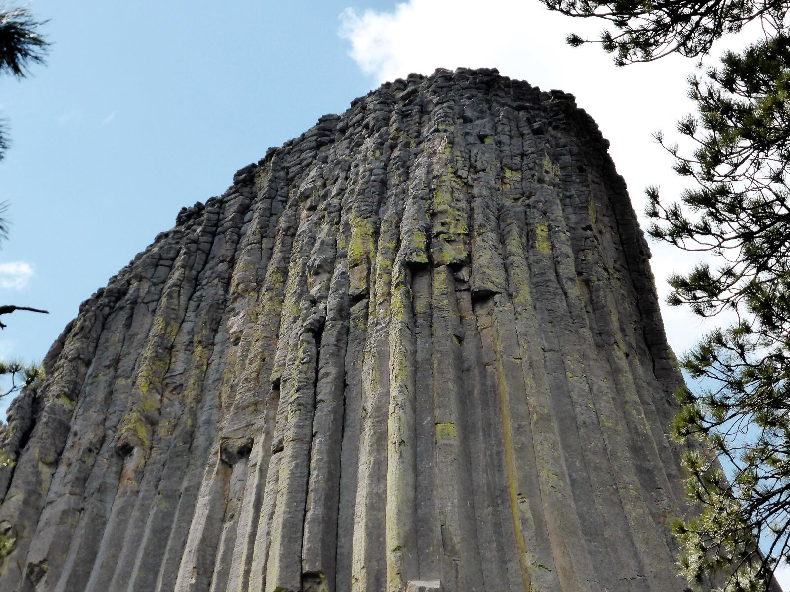 Panasonic Lumix DMC-ZS30 (Lumix DMC-TZ40) sample photo. Mountain, grooves, devil's tower photography