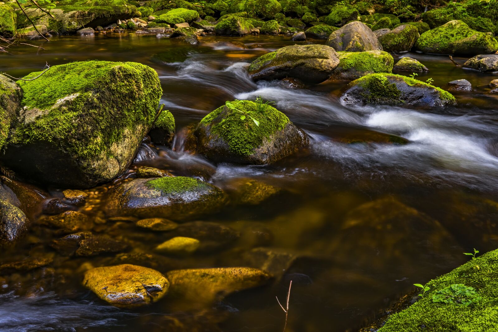 Sony a6300 + Sigma 30mm F2.8 EX DN sample photo. Water, river, nature photography