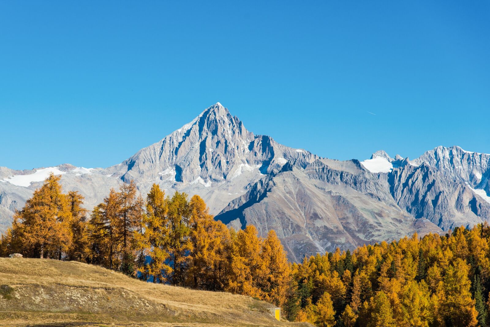 Nikon D600 sample photo. Nature, alpine, valais photography