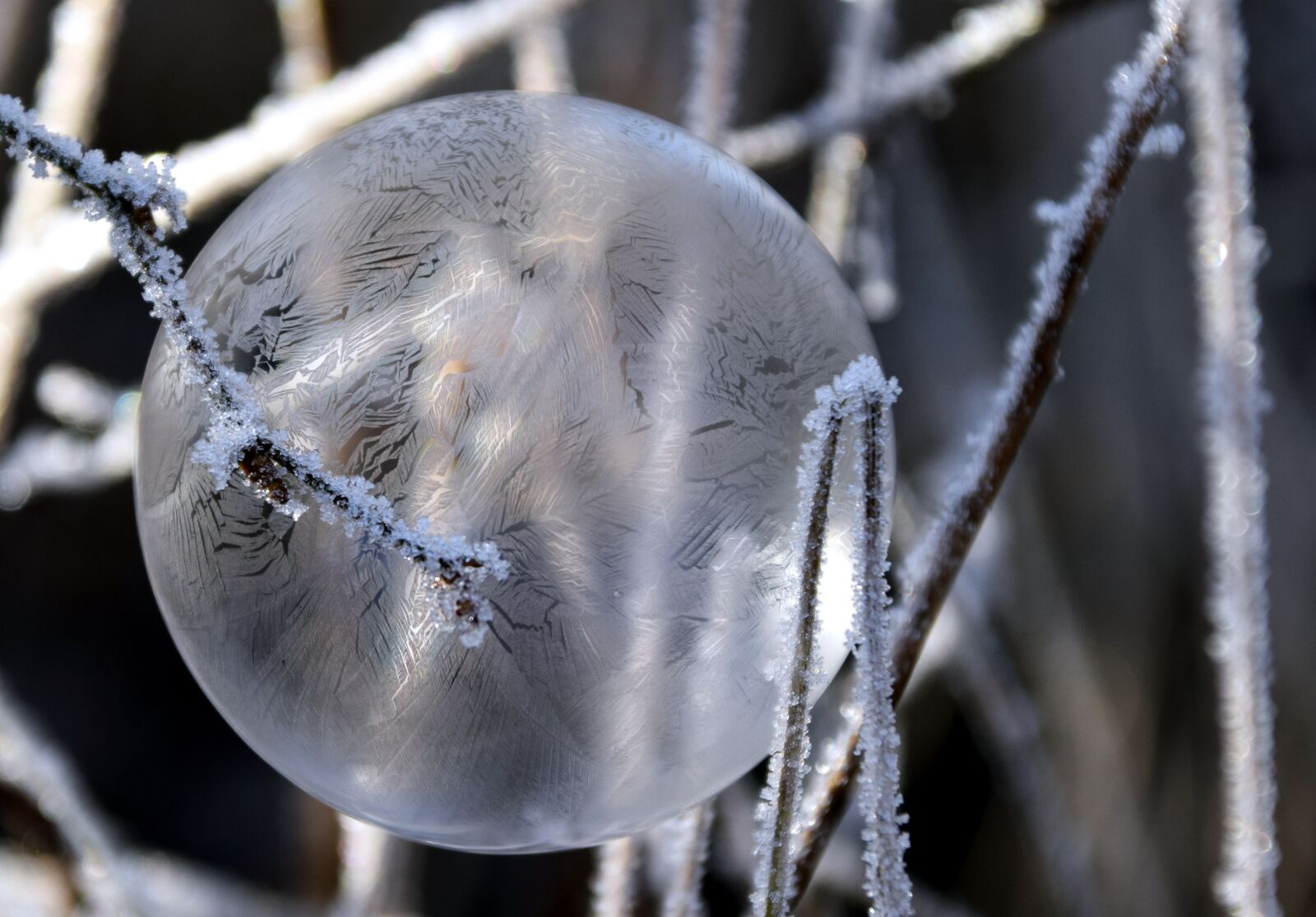 Nikon D3300 sample photo. Bubble, soap bubble, balls photography