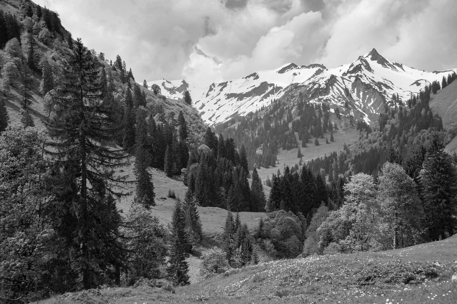 Sony SLT-A58 sample photo. Black and white, mountains photography