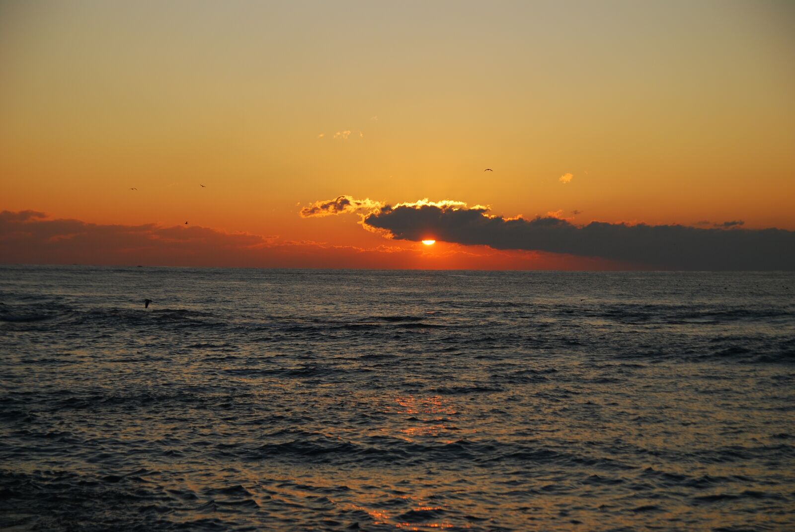 Nikon D80 sample photo. Sea, sunrise, morning photography