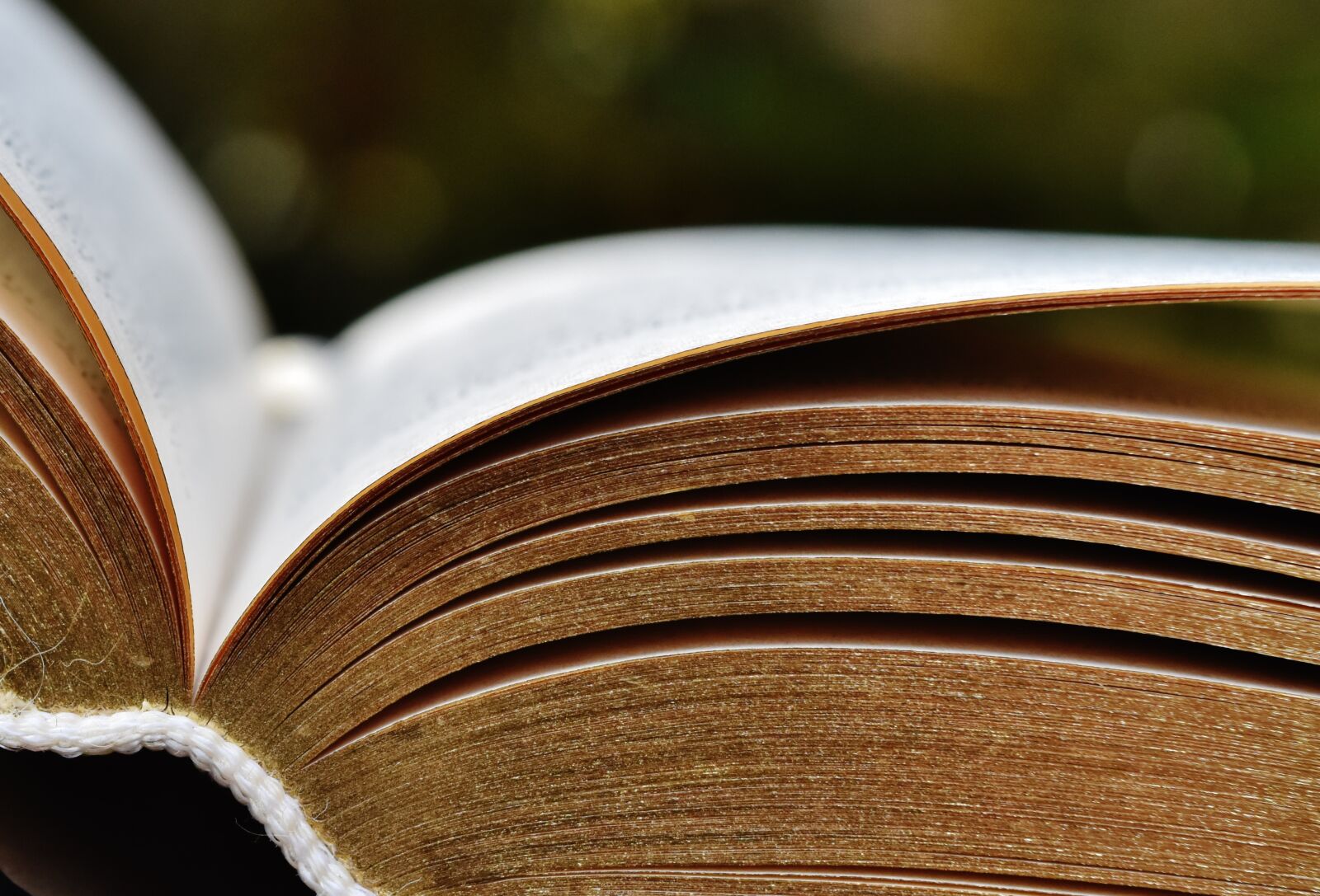 Nikon D7200 sample photo. Book, pitched, book pages photography