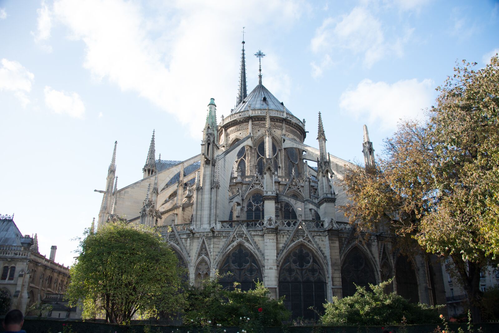 Nikon D800 sample photo. Paris, notre-dame, cathedral photography