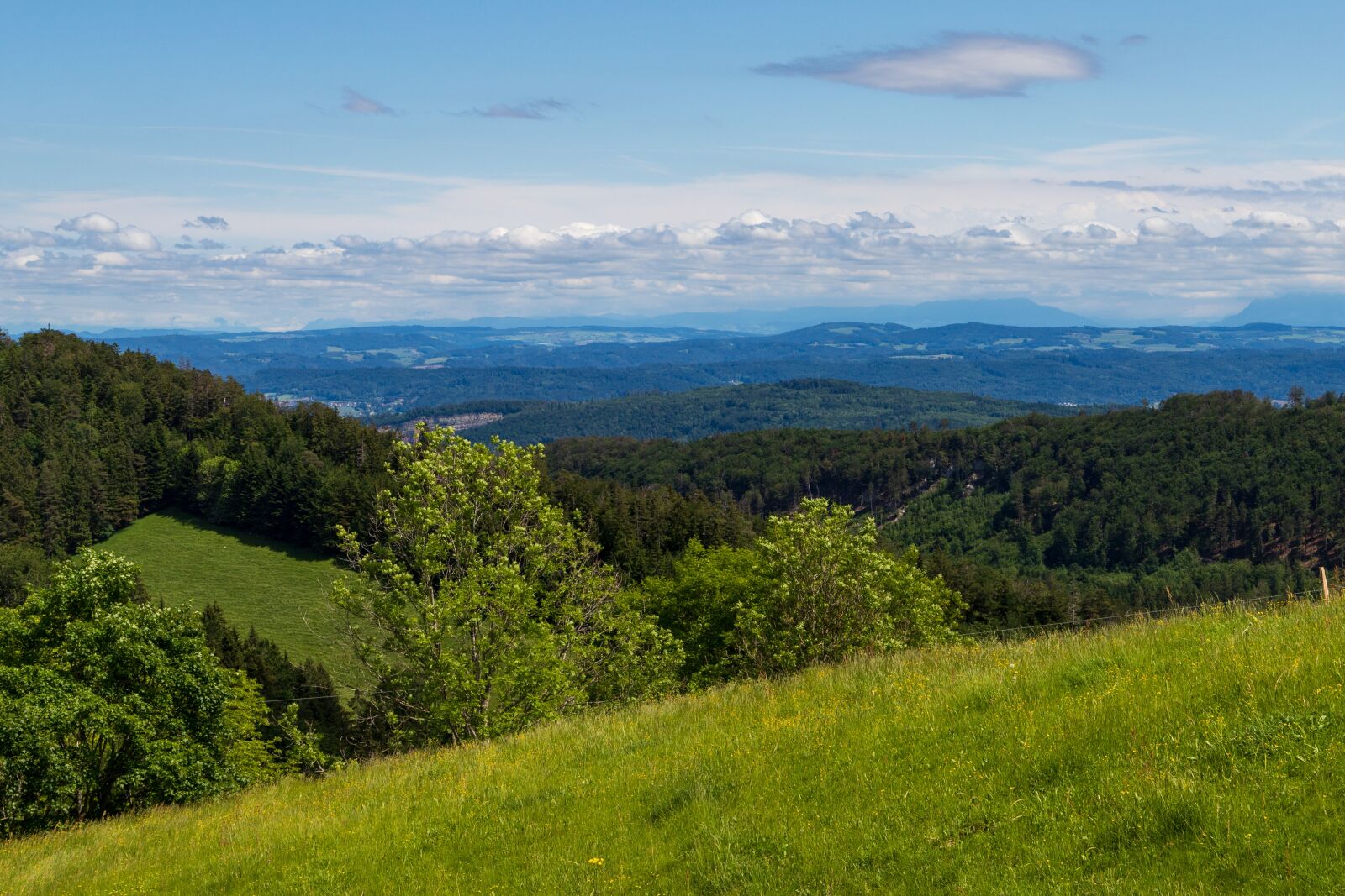 Canon EOS 6D Mark II sample photo. Langenbruck, hiking, switzerland photography