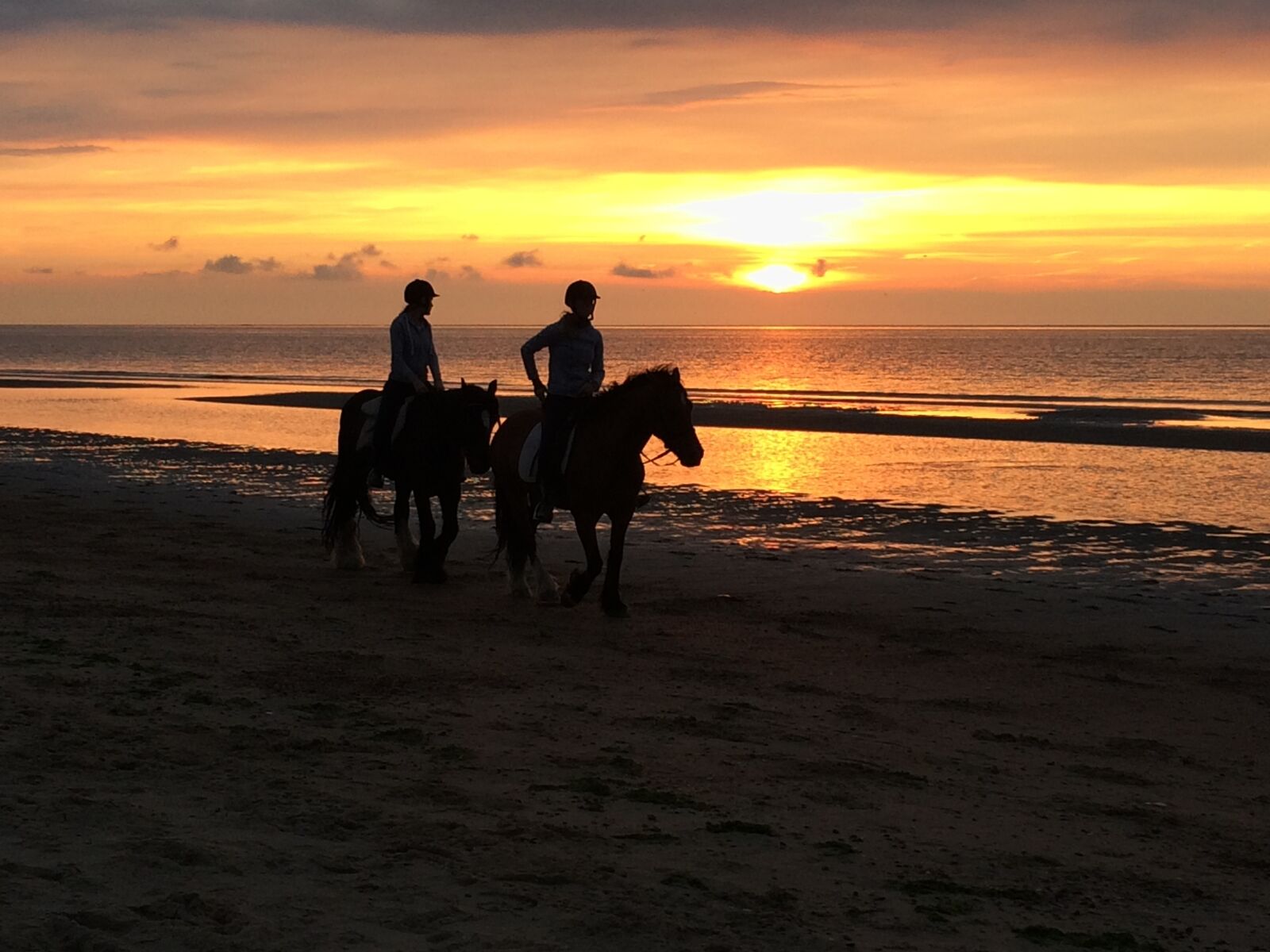 iPhone 5s back camera 4.15mm f/2.2 sample photo. Horse, horses, sunset photography