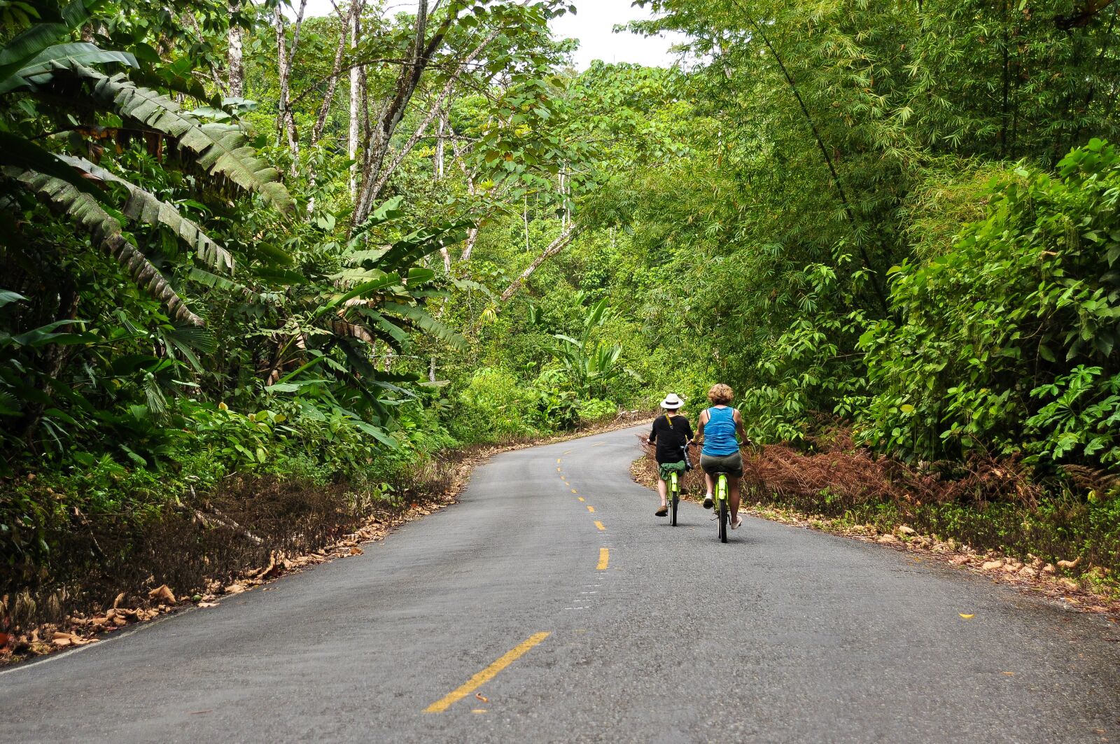 Nikon D90 sample photo. Panama, bocas del toro photography