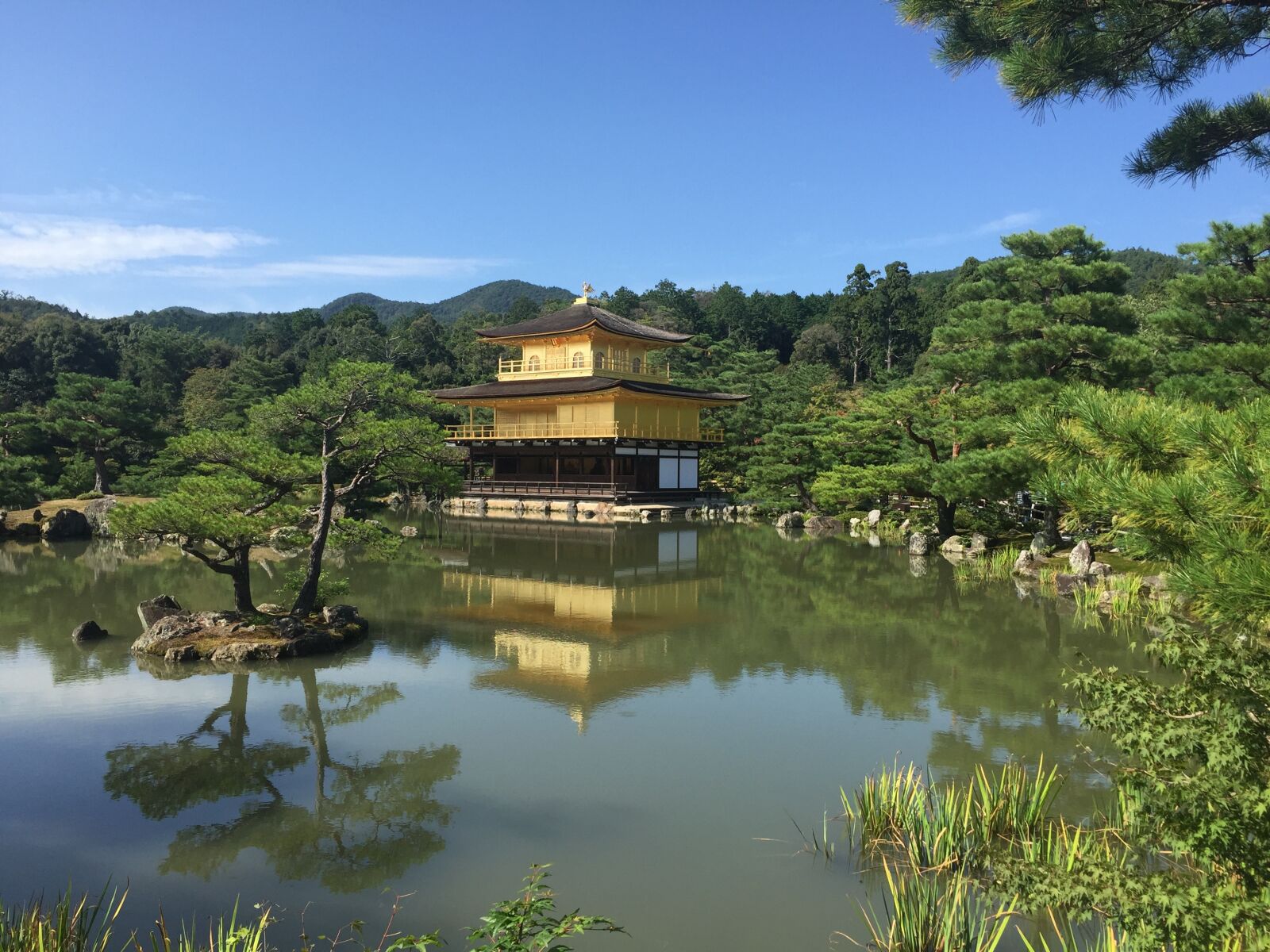iPhone 6 Plus back camera 4.15mm f/2.2 sample photo. Osaka, golden pavilion temple photography