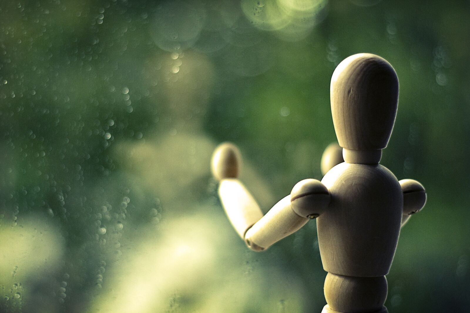 Canon EOS 1000D (EOS Digital Rebel XS / EOS Kiss F) sample photo. Still life, rain, close photography