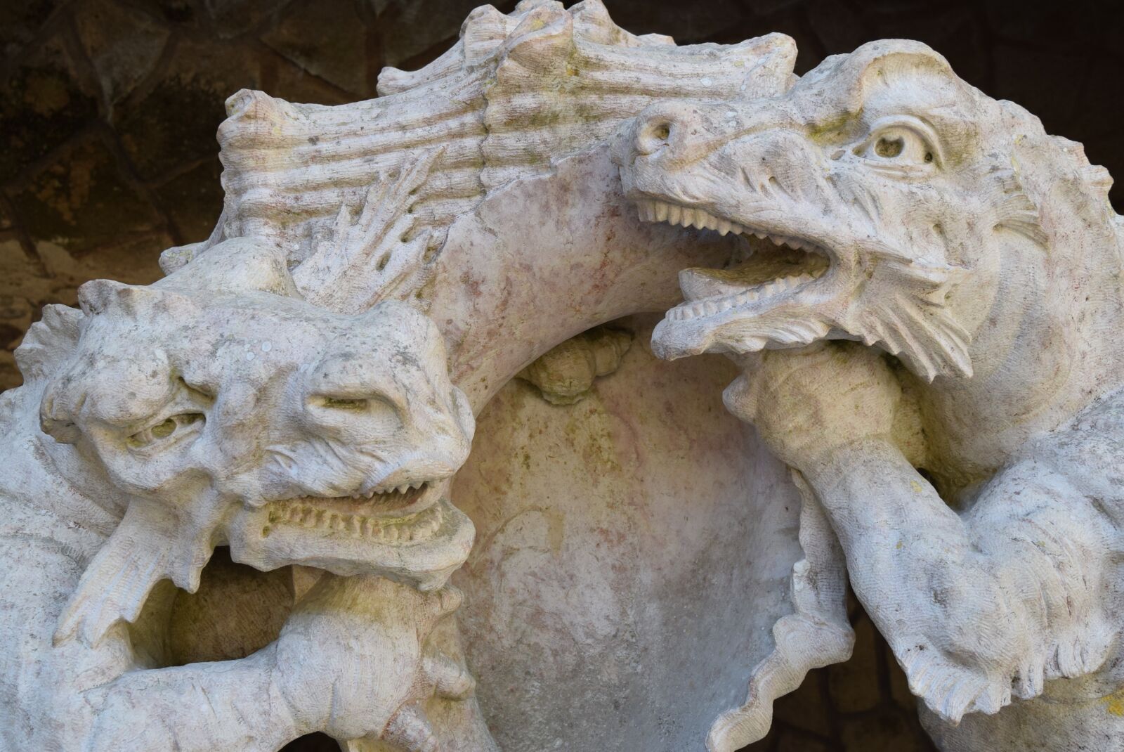 Nikon D3300 sample photo. Dragons, steinmetz, art photography