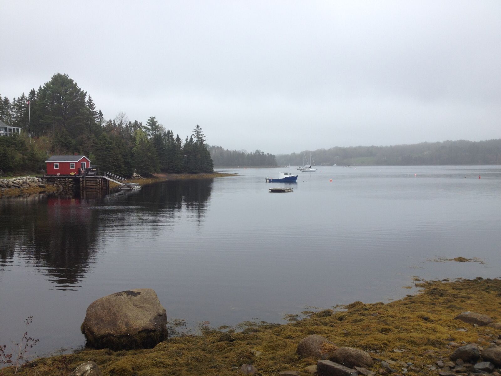 iPhone 4S back camera 4.28mm f/2.4 sample photo. Canada, habour, nature, nova photography