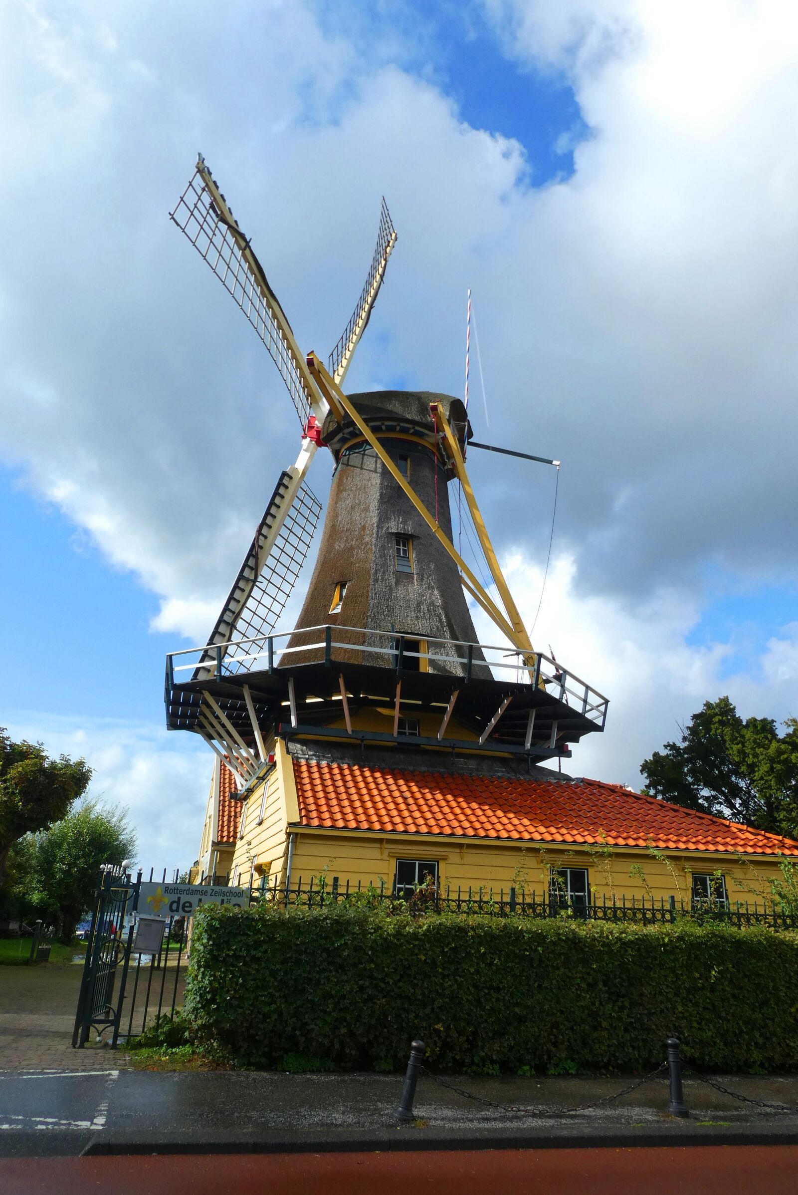 Panasonic Lumix DC-ZS70 (Lumix DC-TZ90) sample photo. Mill, rotterdam, the lily photography