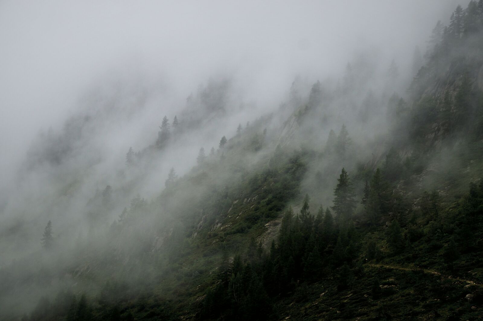 Sony DT 18-200mm F3.5-6.3 sample photo. Foggy, landscape, mist photography