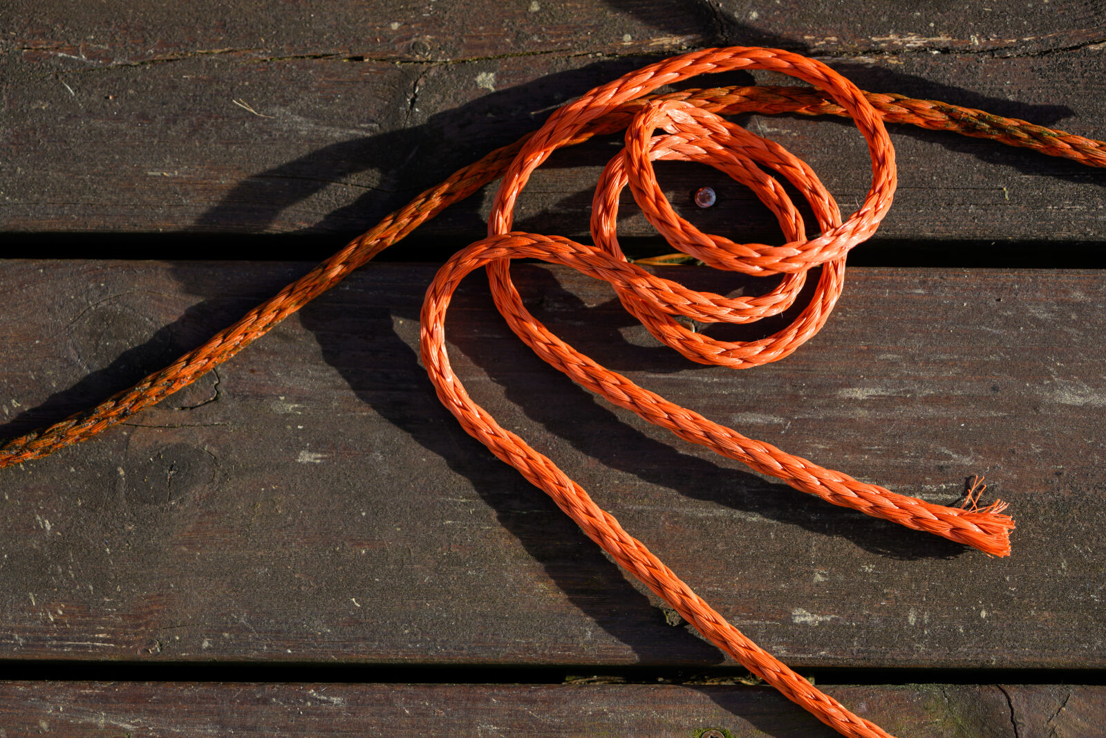 Nikon Z8 sample photo. Rope sunshine photography