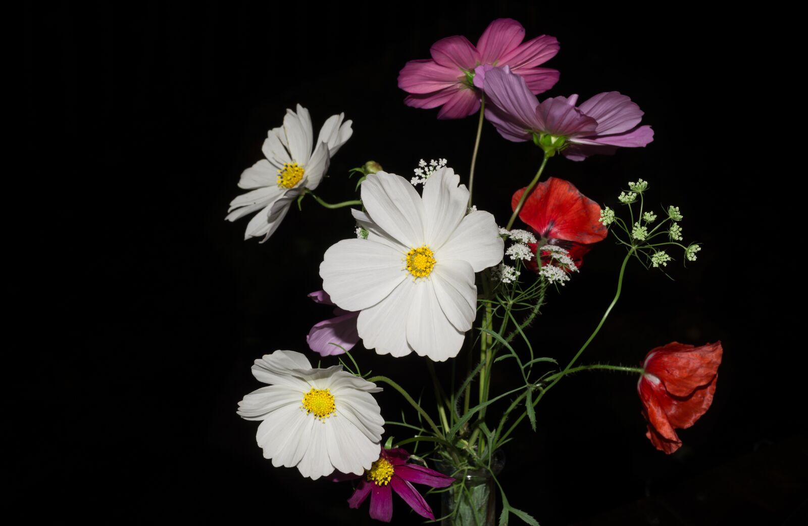 Nikon D610 sample photo. Wild, flowers, bouquet photography