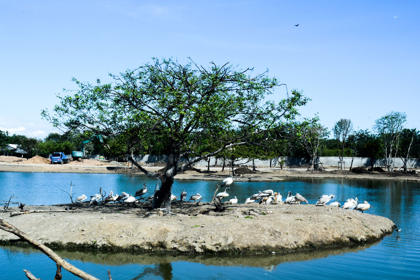 Nikon D3300 sample photo