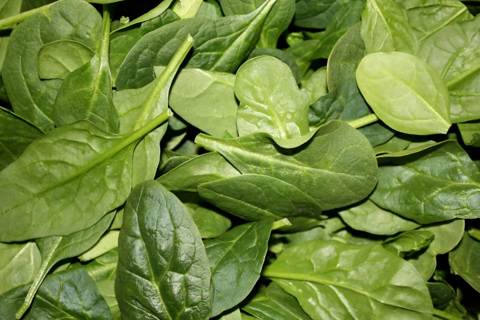 f/3.5-5.6 IS sample photo. Fresh, produce, leaf, spinach photography