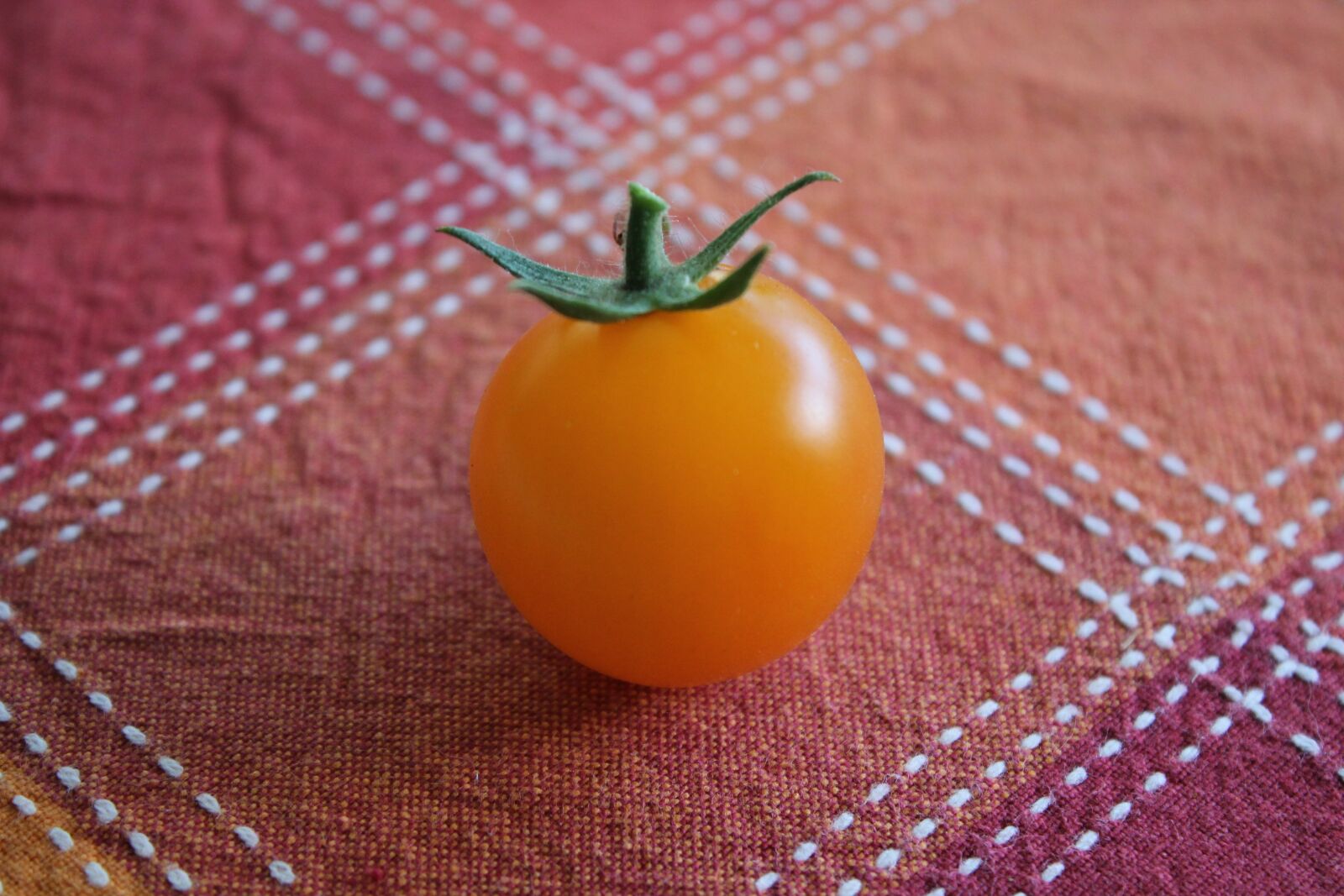 Canon EOS 1100D (EOS Rebel T3 / EOS Kiss X50) sample photo. Tomato, red, orange photography