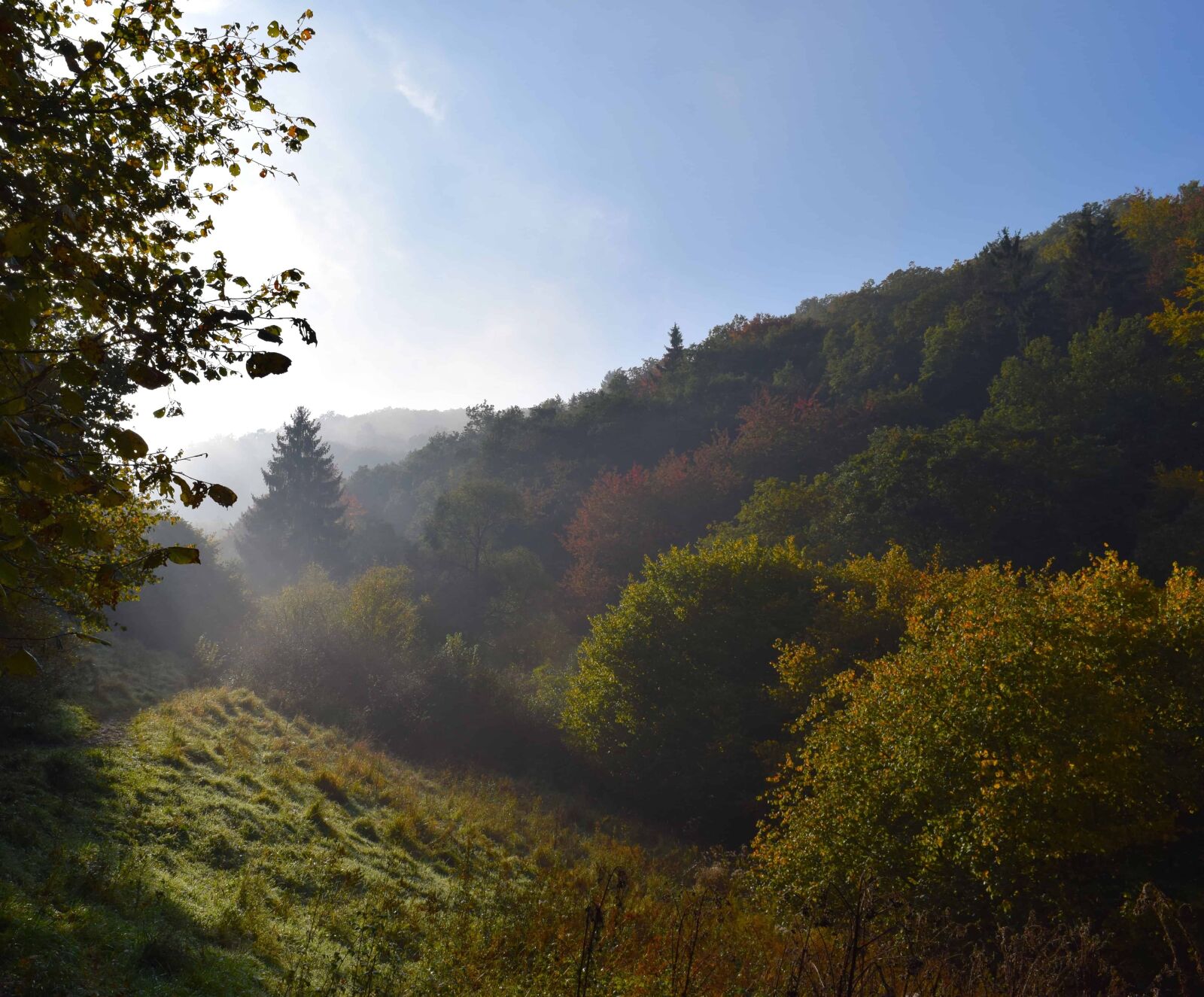 Nikon D3300 sample photo. Fog, mountain, nature, landscape photography