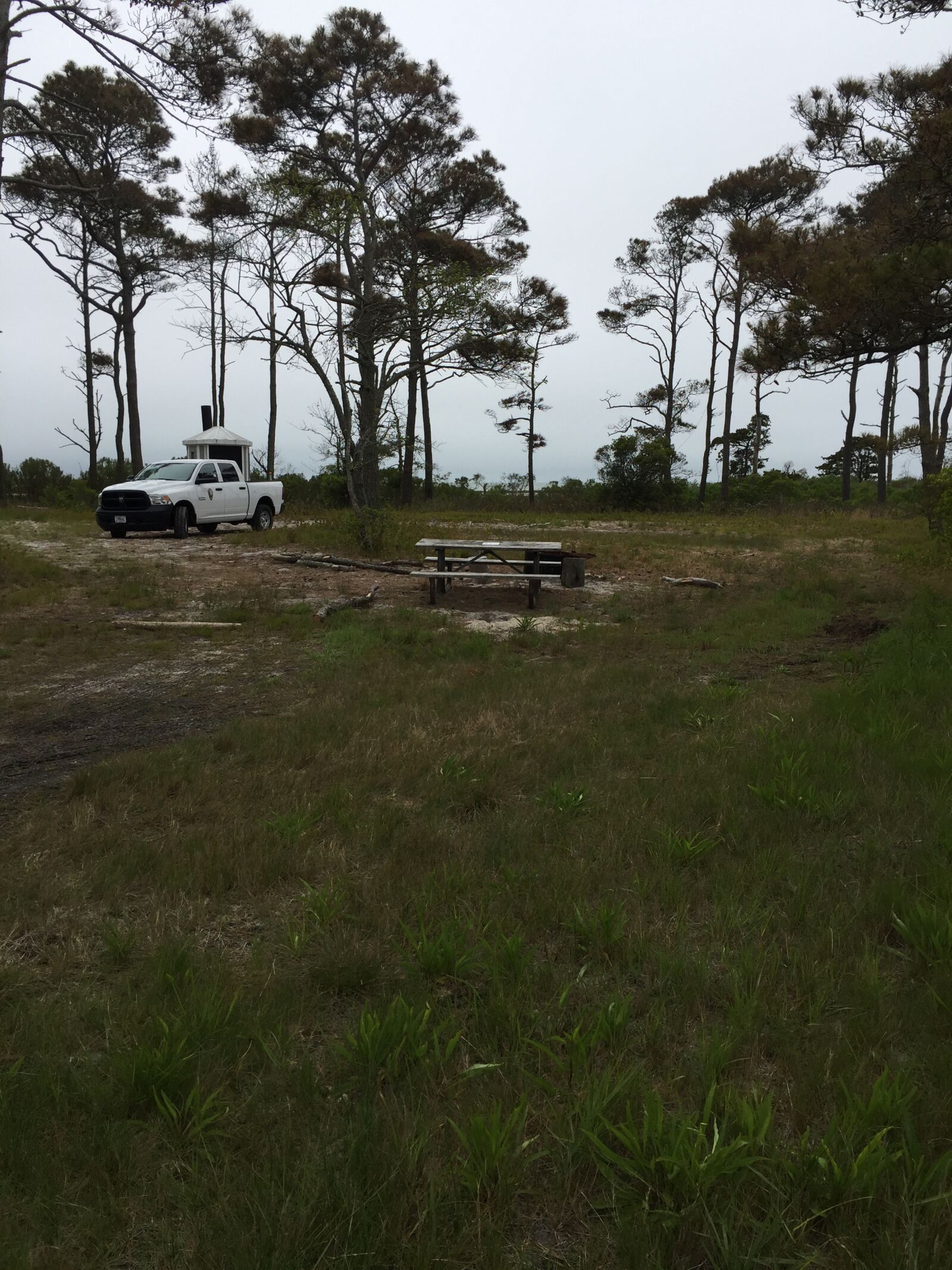 iPhone 6 Plus back camera 4.15mm f/2.2 sample photo. Camp, assateague, campfire photography