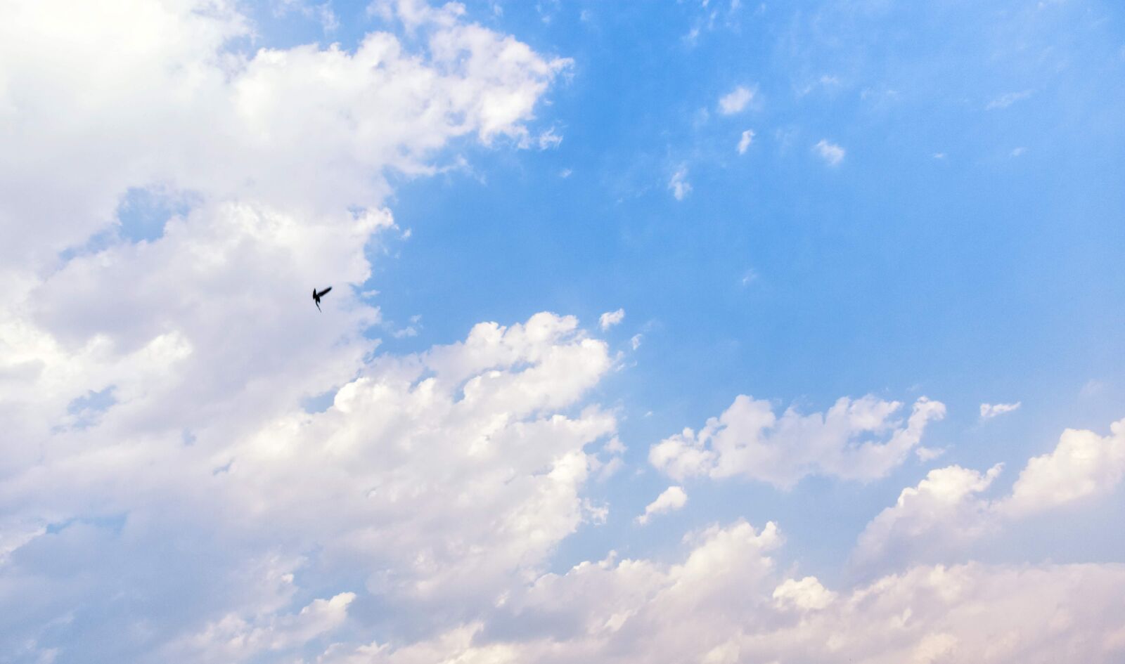 Nikon D3400 sample photo. Skyline, sky, nature photography