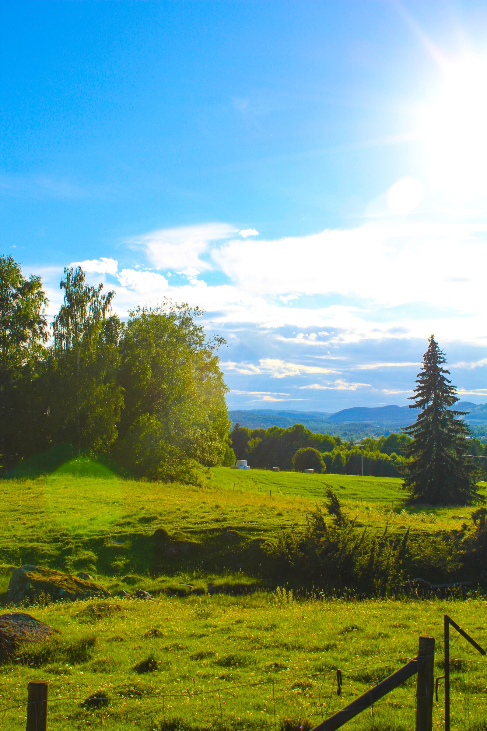 Canon EOS 550D (EOS Rebel T2i / EOS Kiss X4) sample photo. Hage, bed, himmel photography