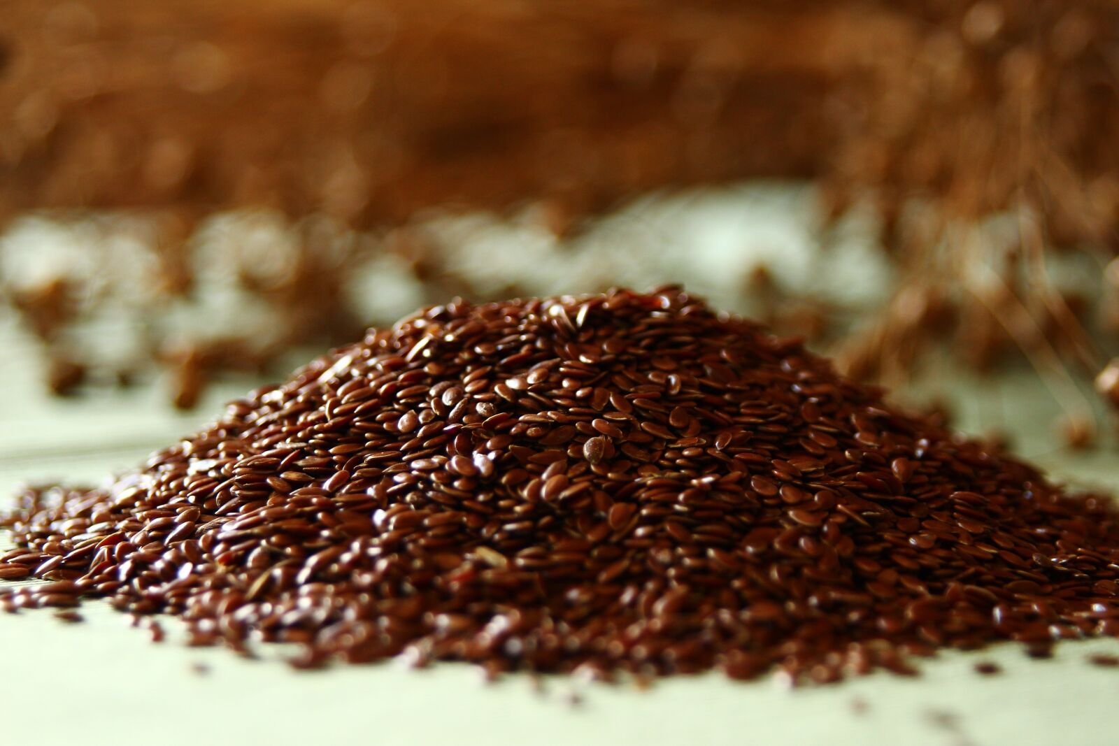 Canon EOS 600D (Rebel EOS T3i / EOS Kiss X5) sample photo. Linseed, flaxseed, semi di photography