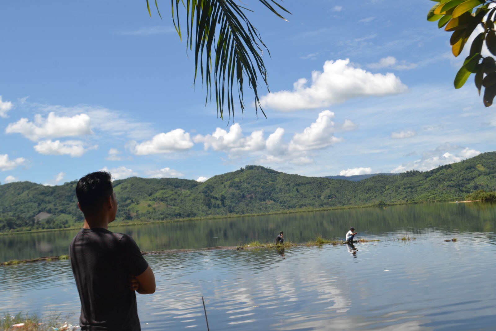 Nikon D3100 sample photo