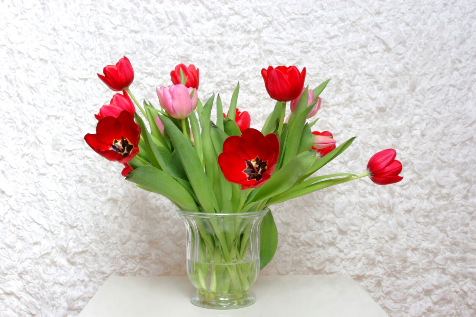 Canon EOS 20D sample photo. Bouquet, flower, tulip photography