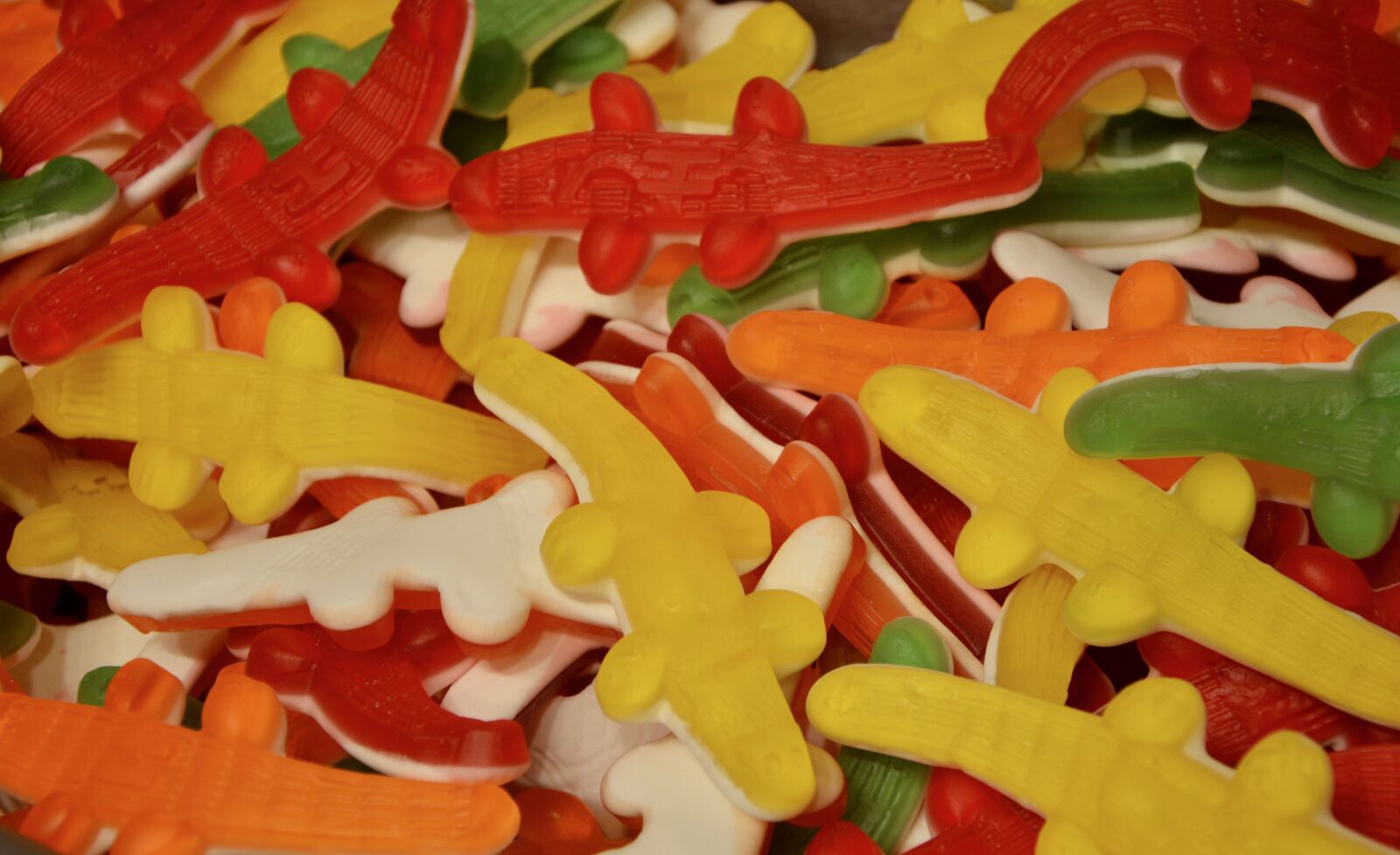 Nikon D5200 sample photo. Candy, form crocodile, confectionery photography