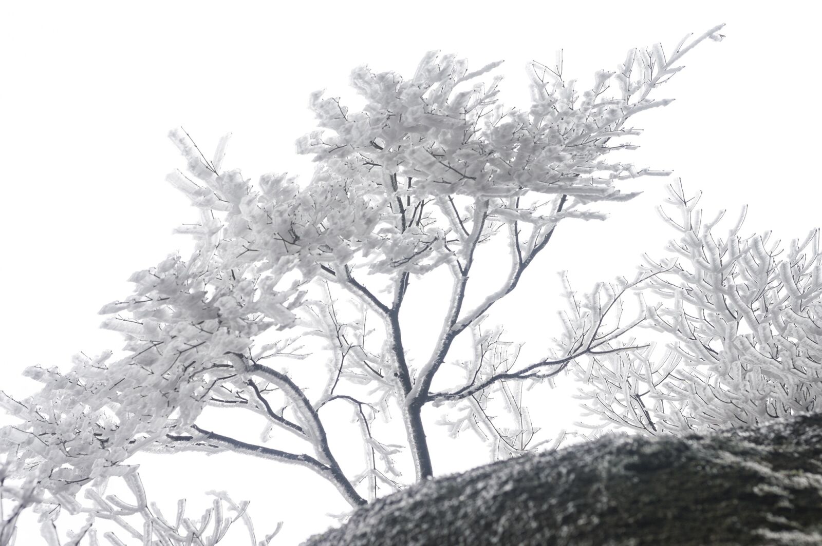 Nikon D3200 sample photo. China, anhui, huangshan photography