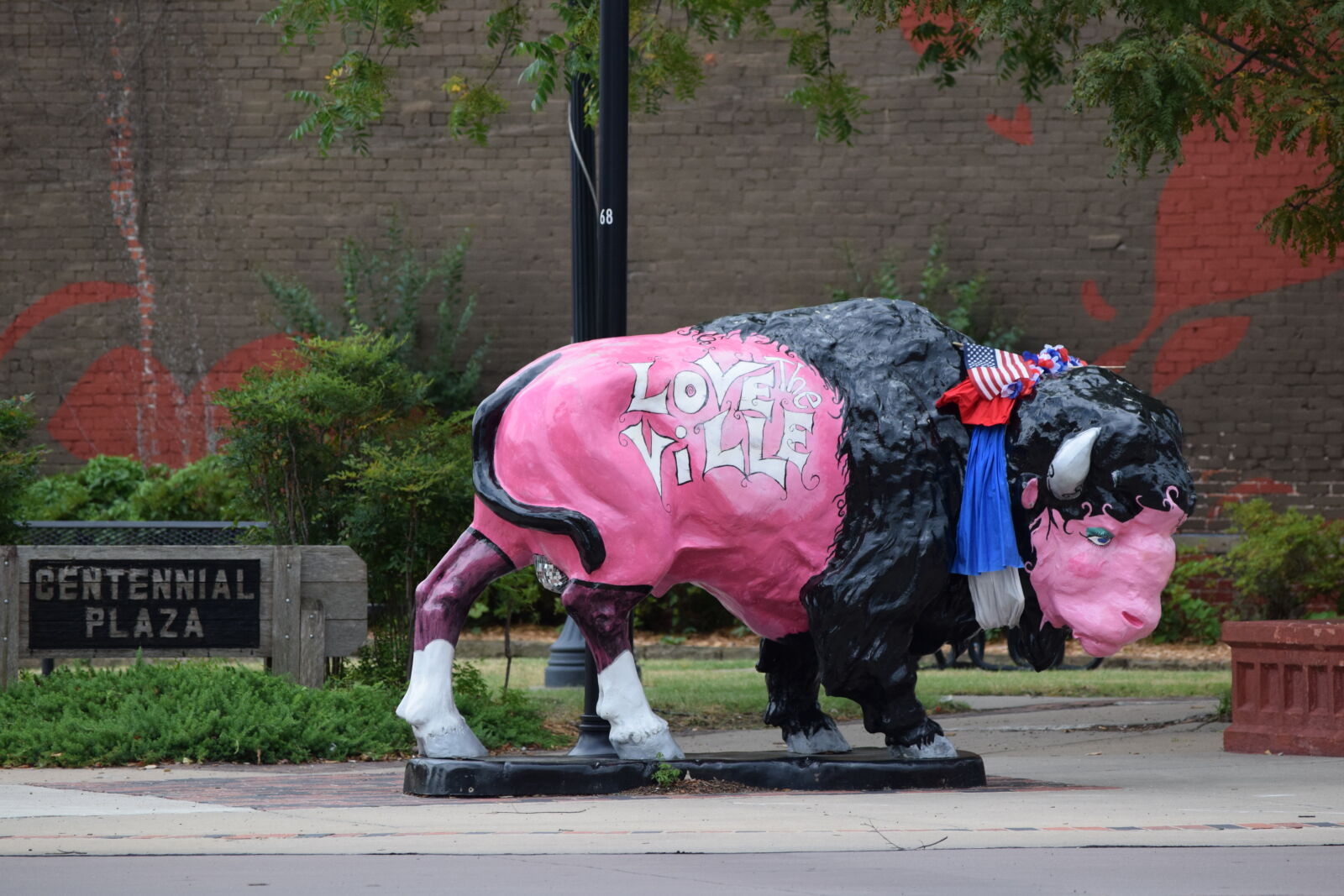 Nikon D3300 sample photo. Bartlesville, buffalo photography