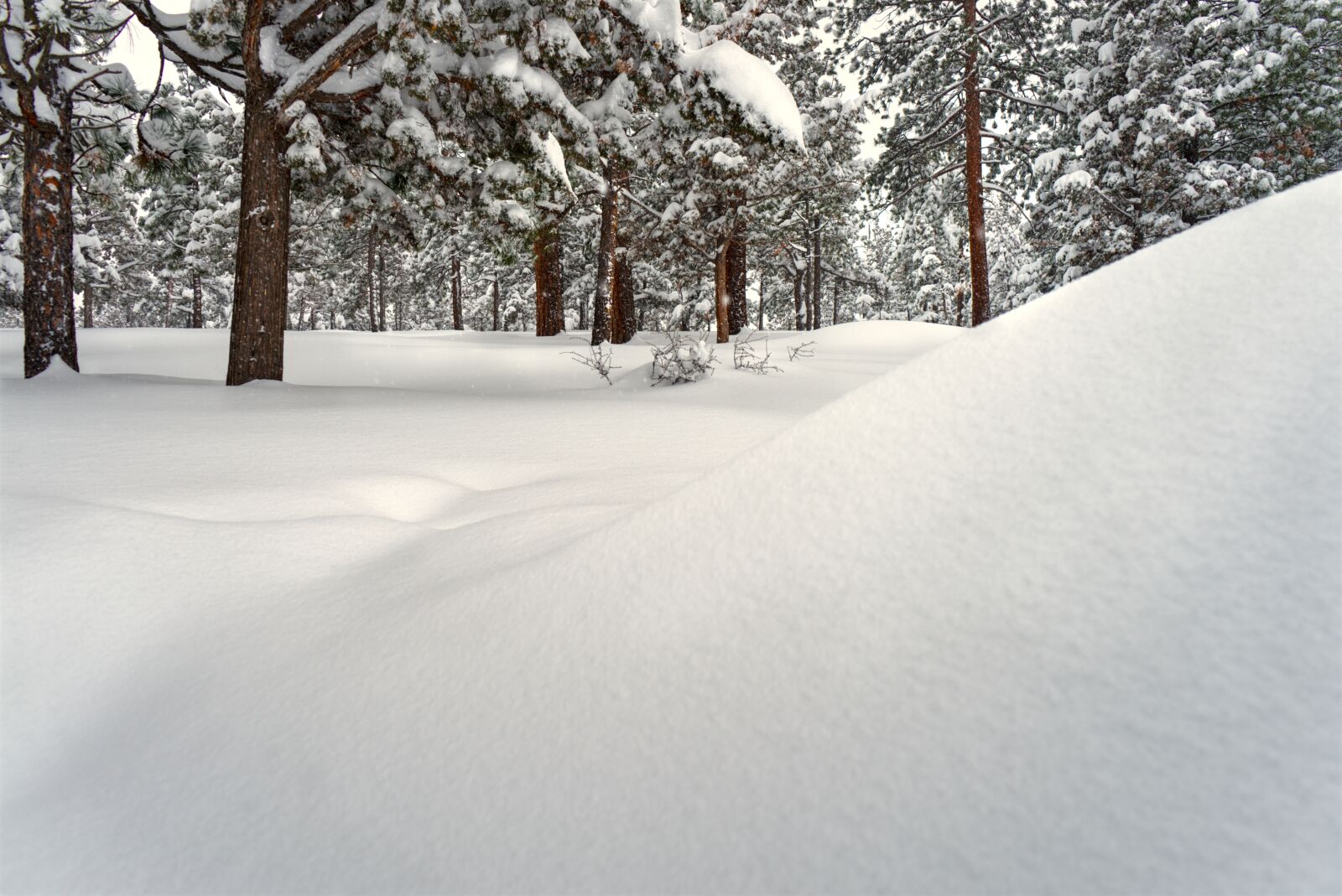 Sony a7 + Sony FE 28-70mm F3.5-5.6 OSS sample photo. Blizzard, oregon, pacific northwest photography