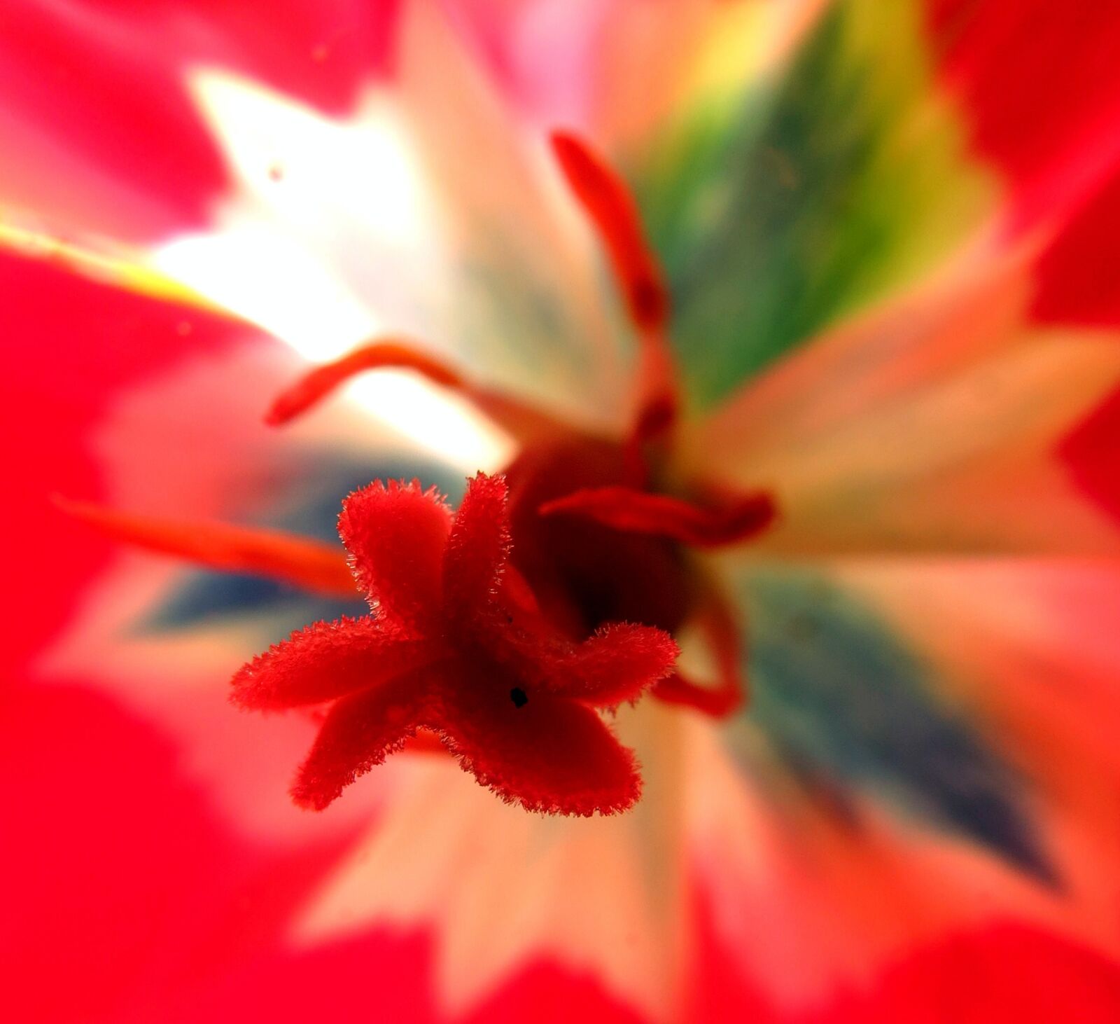 Canon PowerShot SX40 HS sample photo. British, flora, green photography