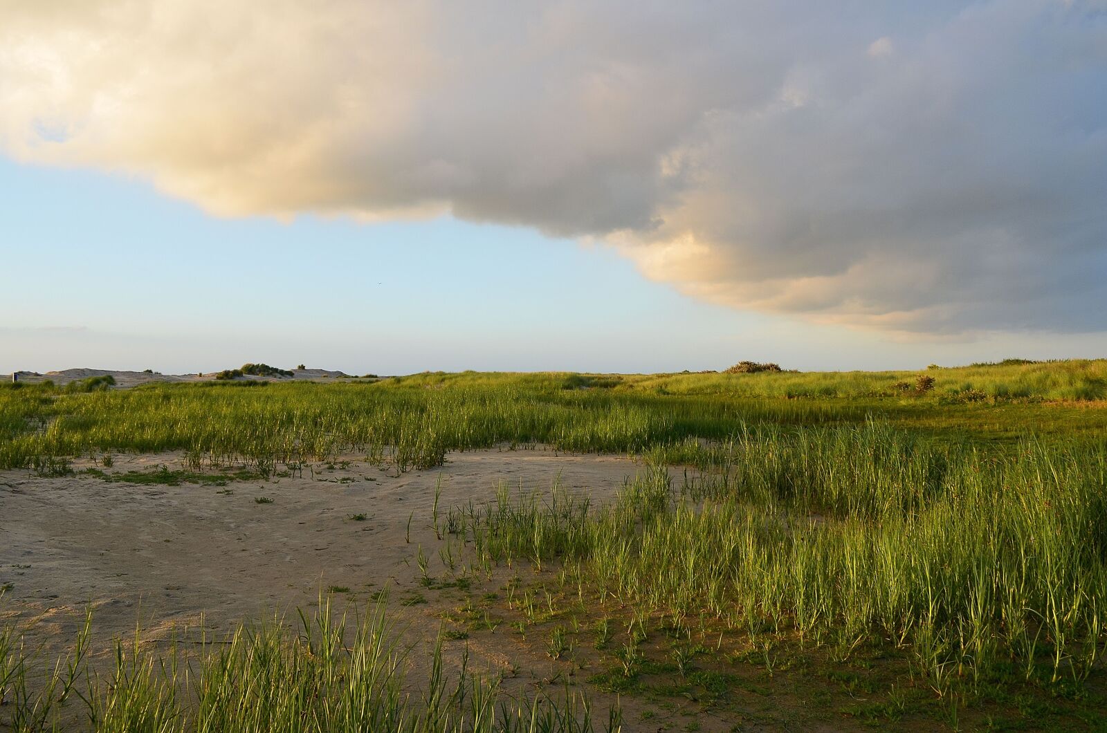 Nikon D5100 sample photo. Mood, blue hour, dunes photography